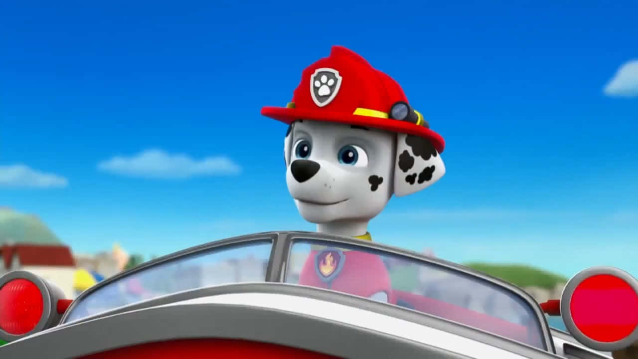 Marshall Paw Patrol, fire pup, red firefighter hat, HD Desktop Wallpaper