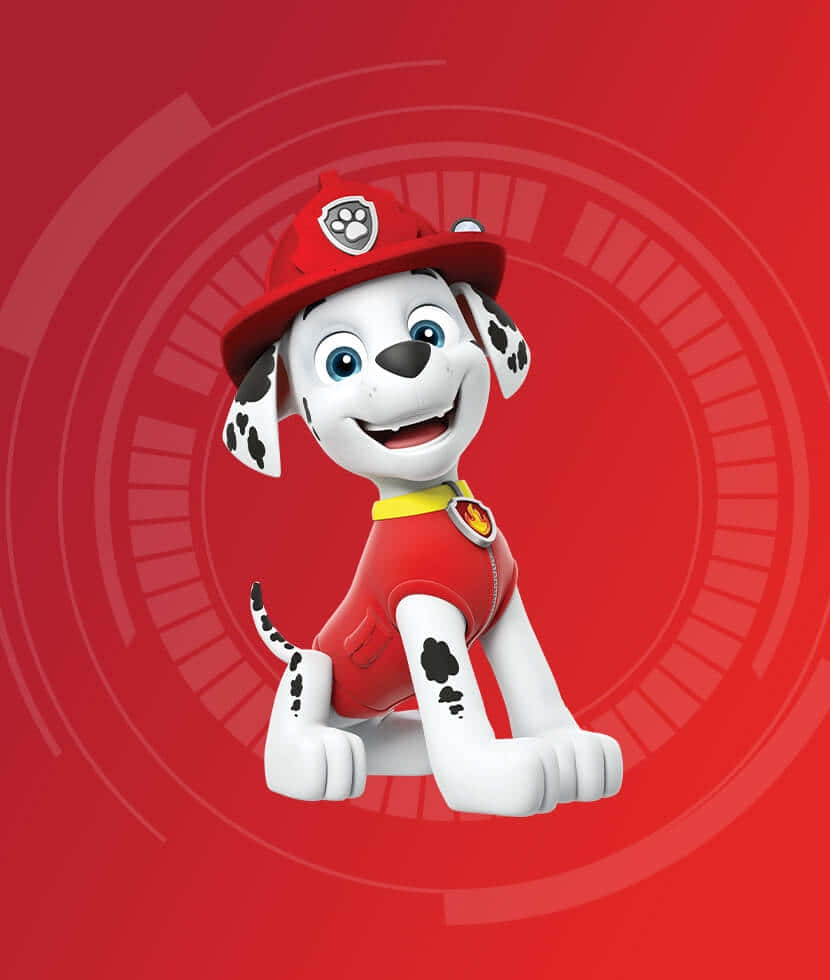 Marshall, Paw Patrol, fire pup, SD Phone Wallpaper