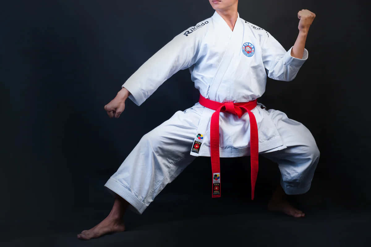 martial arts uniform, white gi, red belt, SD Desktop Wallpaper