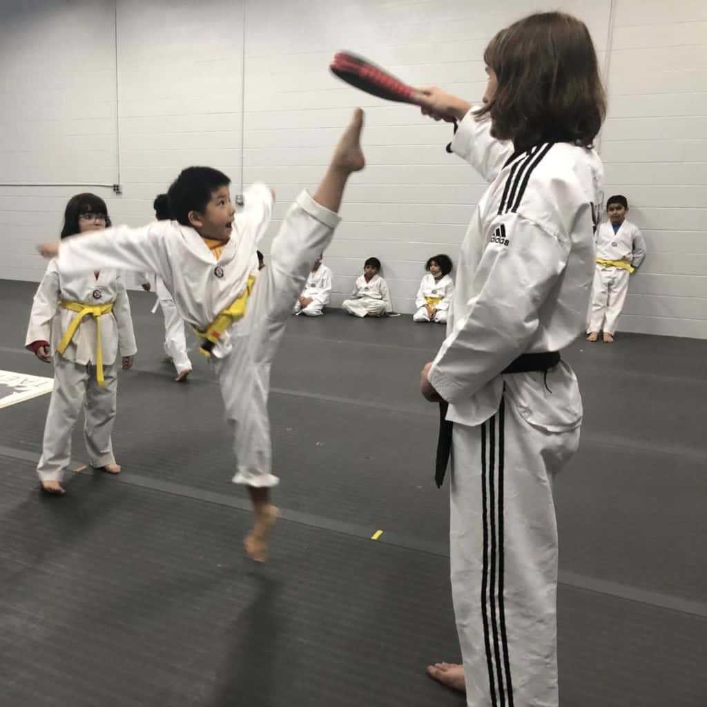 white taekwondo uniform, red pad, gym, SD Desktop Wallpaper