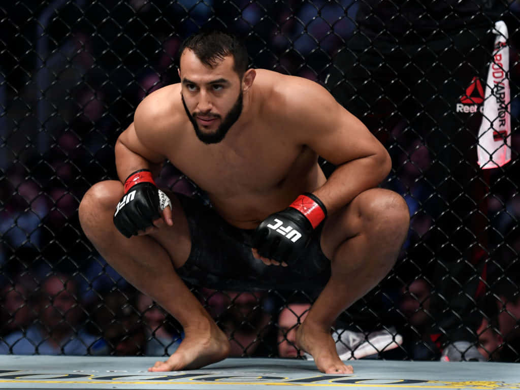 MMA Fighter, crouching, octagon cage, SD Desktop Wallpaper