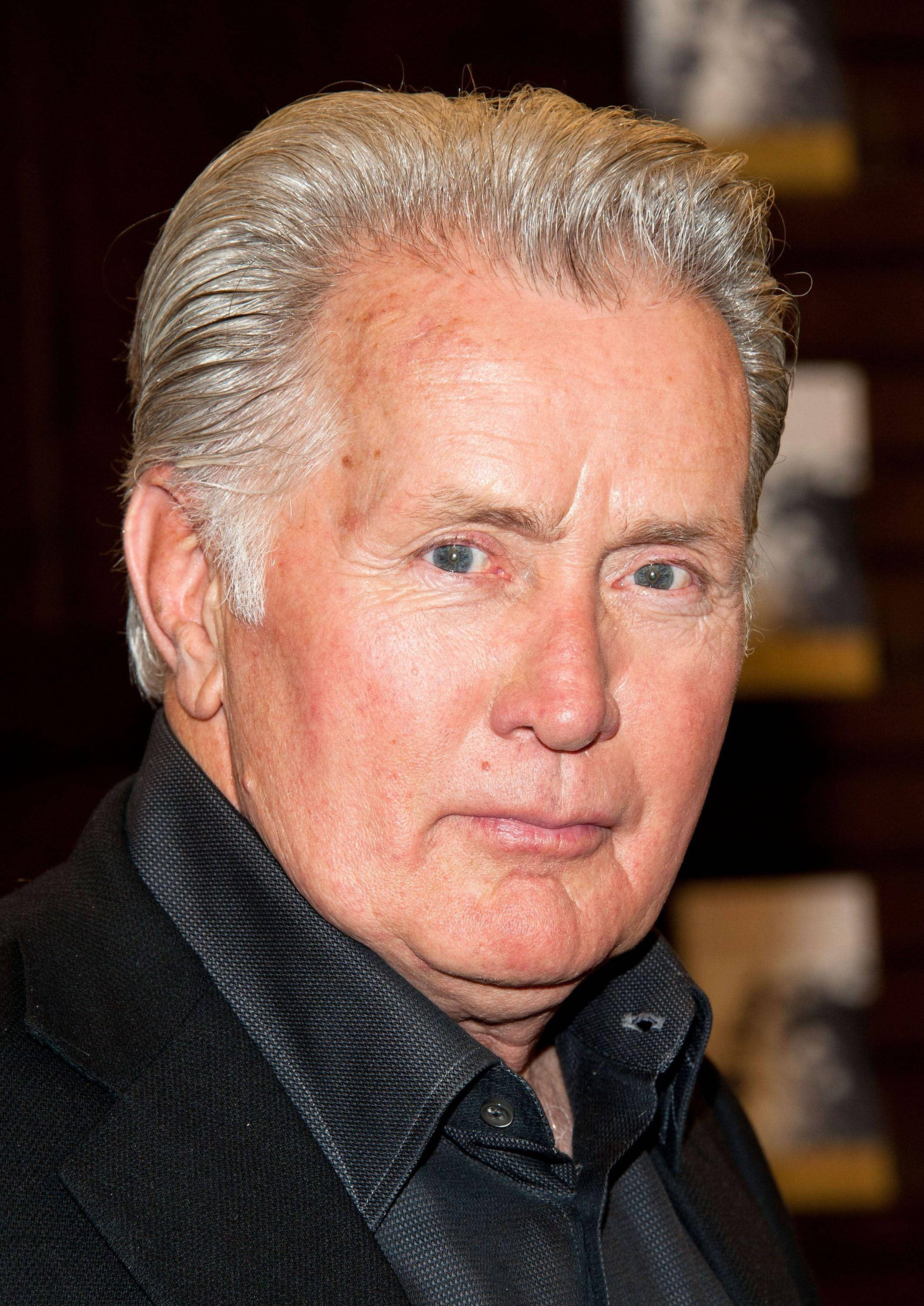 Martin Sheen, silver hair, piercing blue eyes, 2K Phone Wallpaper