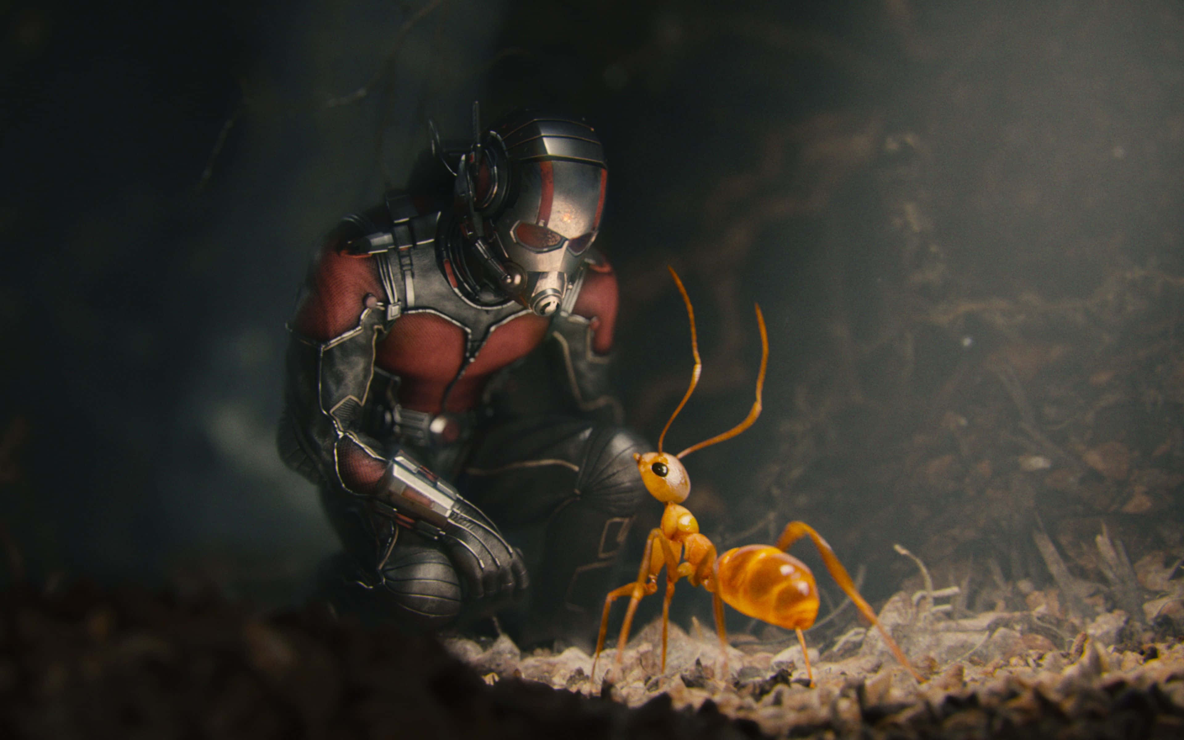 Marvel Movie, red and silver armor, giant glowing orange ant, 4K Desktop Wallpaper