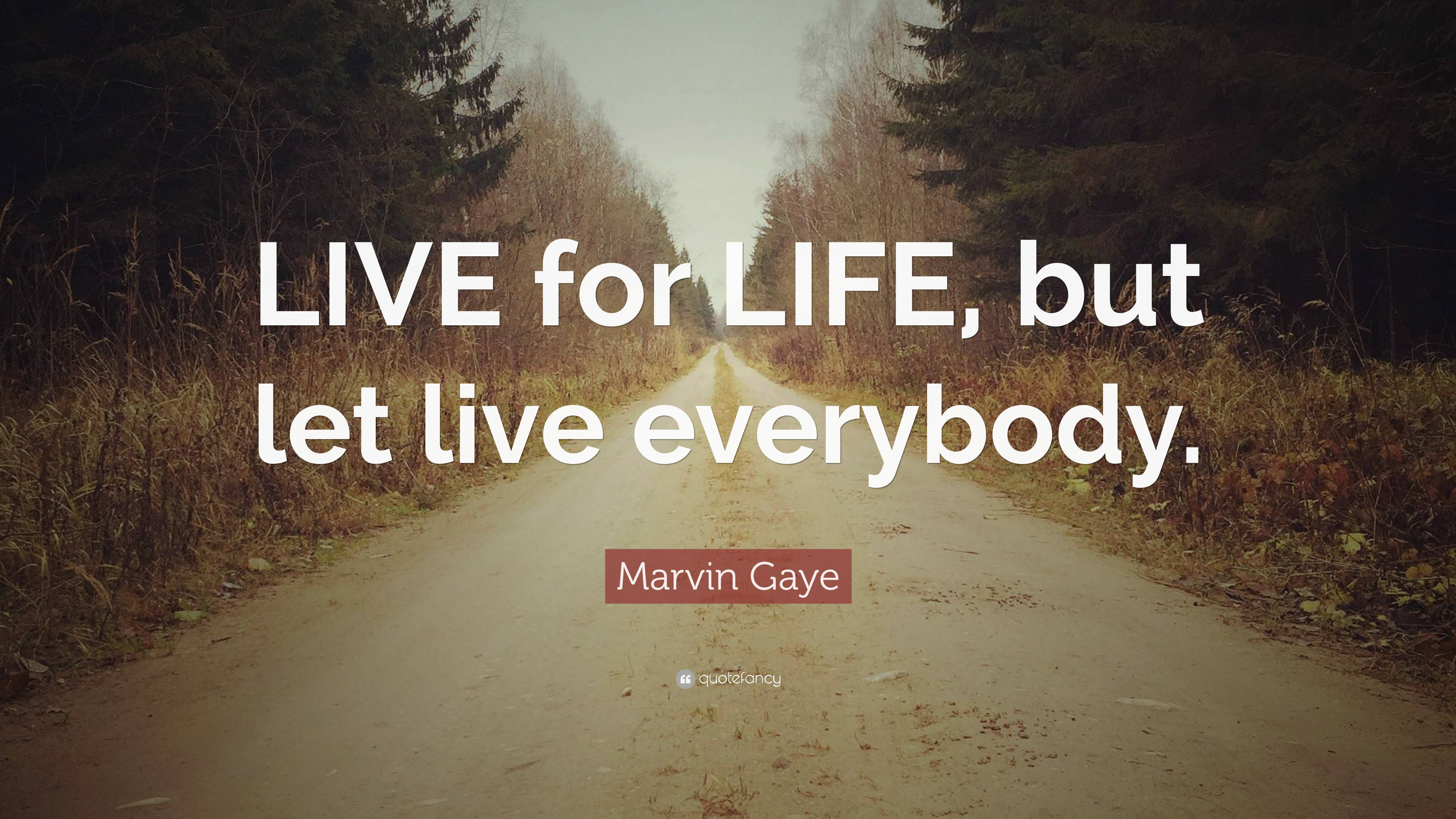 Marvin Gaye, Live For Life Quote, dirt road, 4K Desktop Wallpaper