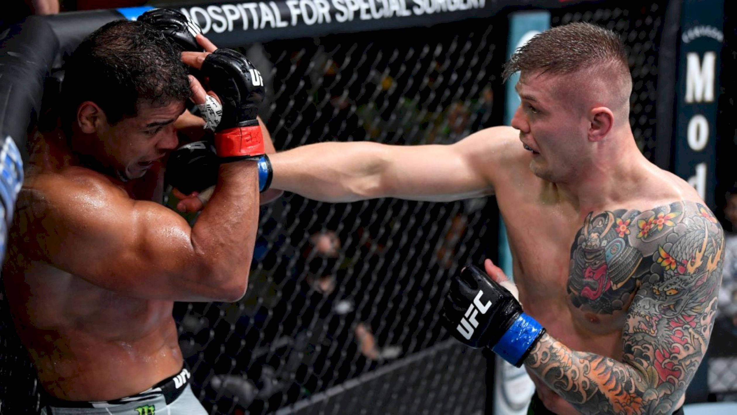 Marvin Vettori, MMA fighters, cage match, Full HD Desktop Wallpaper