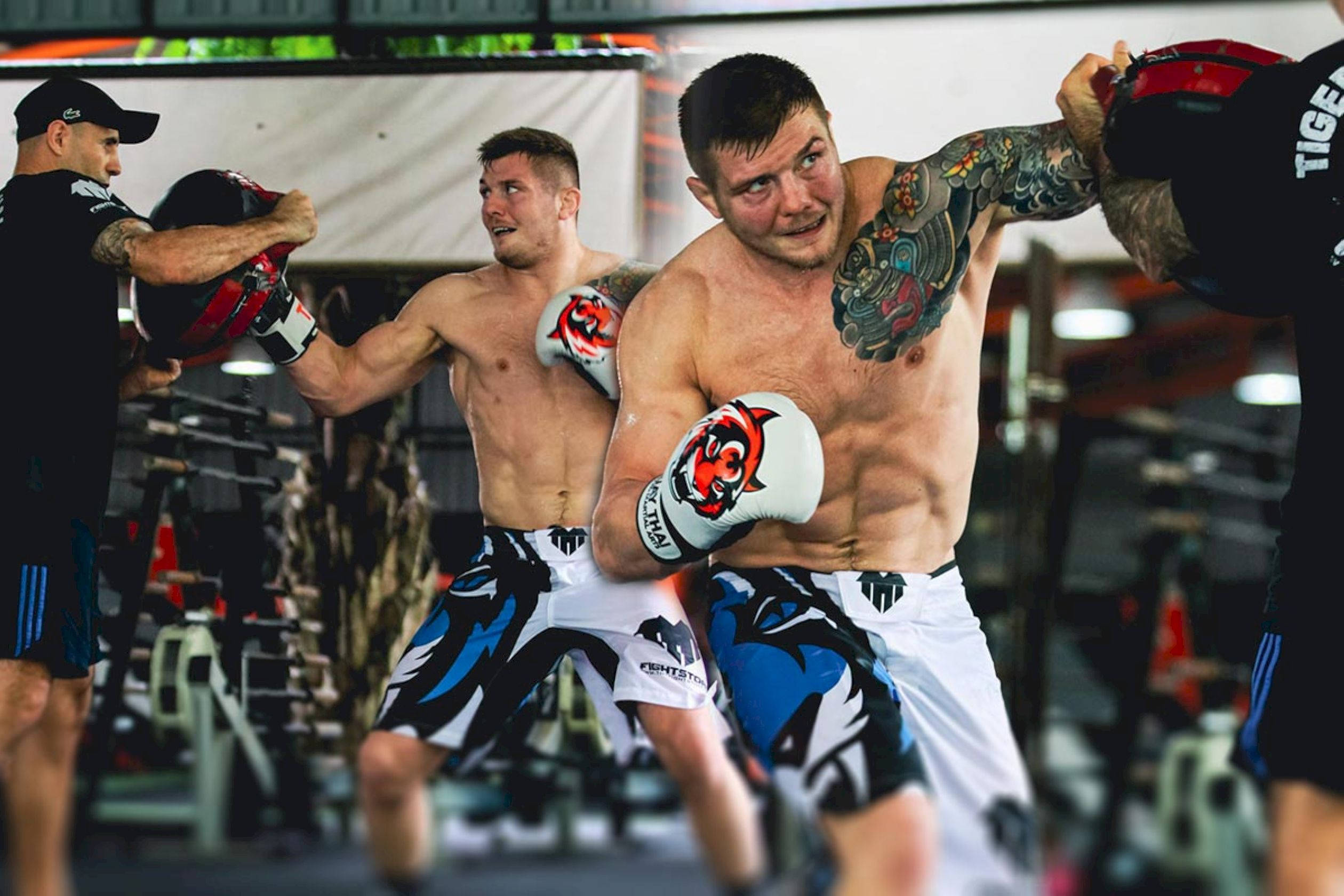 Marvin Vettori, white gloves, gym, Full HD Desktop Wallpaper
