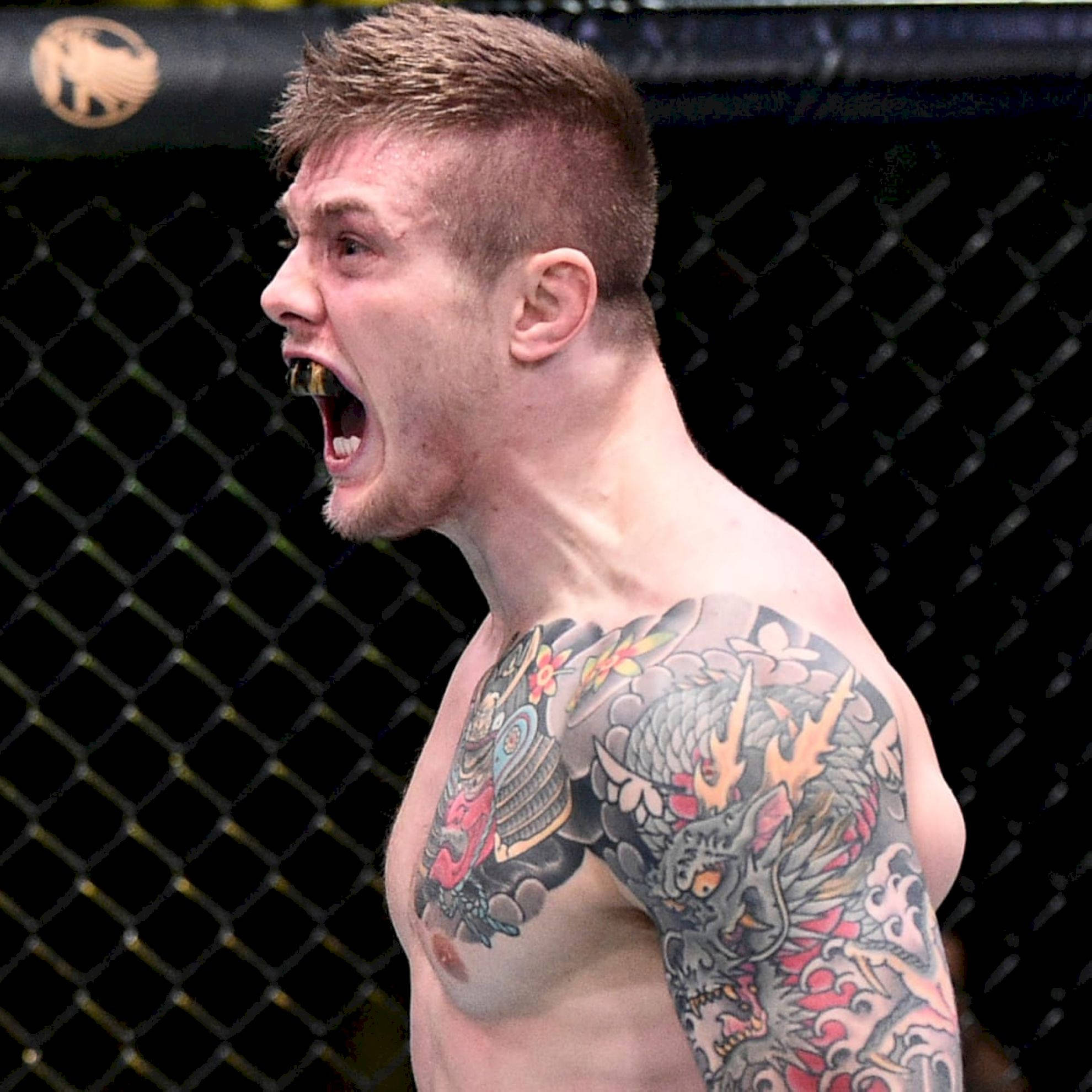 Marvin Vettori, cage, tattooed fighter, Full HD Desktop Wallpaper