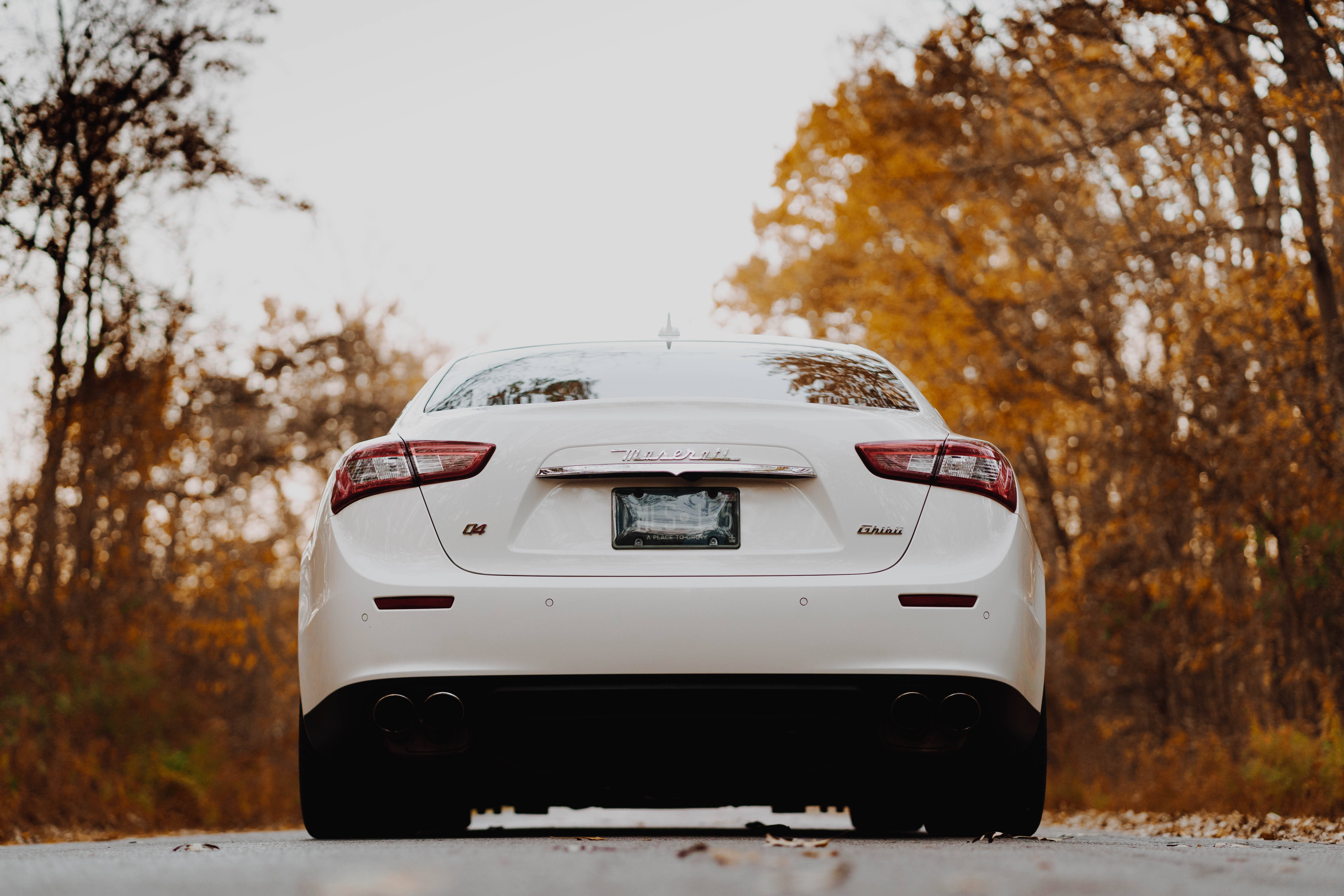 Maserati, white sedan, autumn trees, 5K Desktop Wallpaper