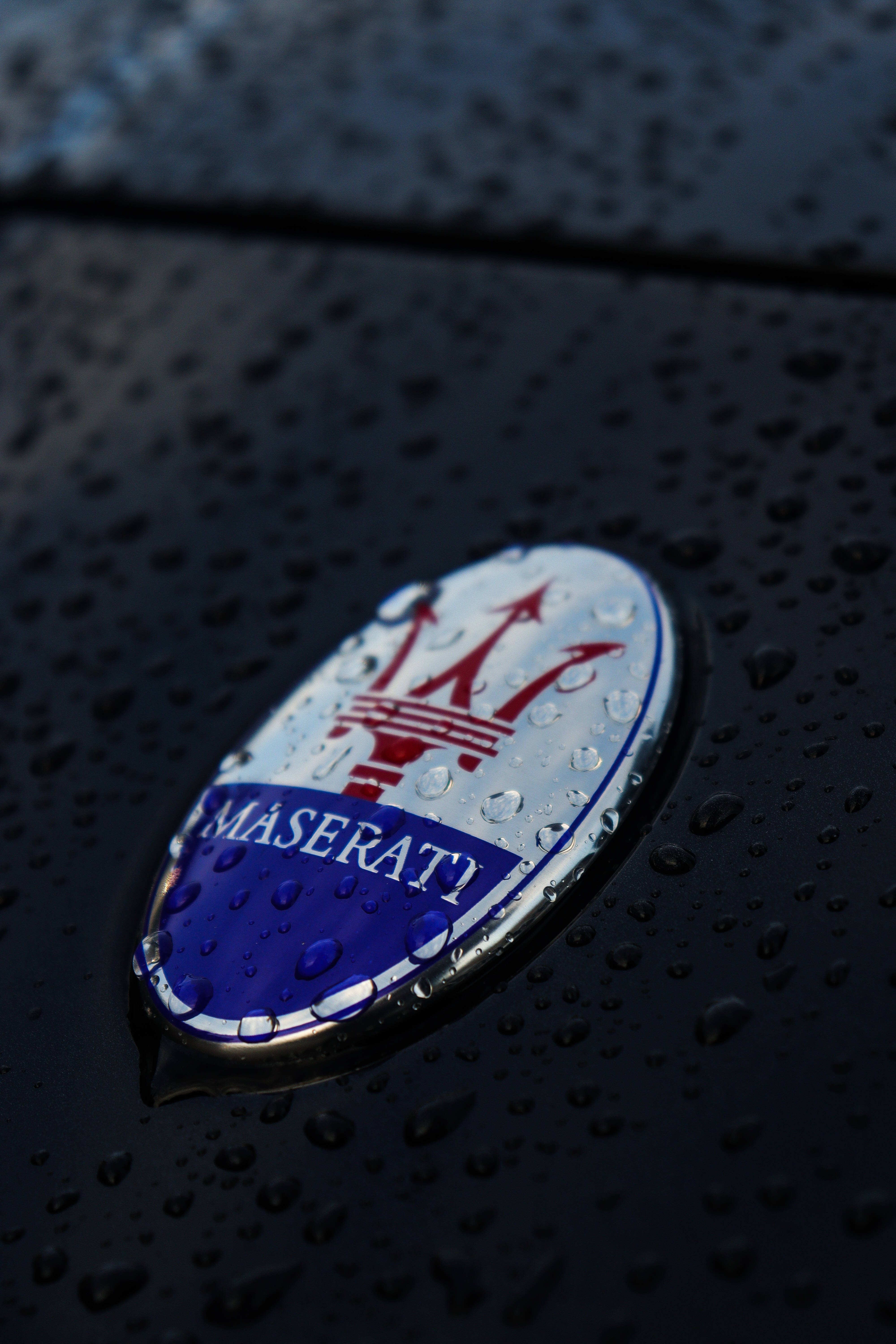 Maserati emblem, raindrops, sleek black car hood, 5K Phone Wallpaper