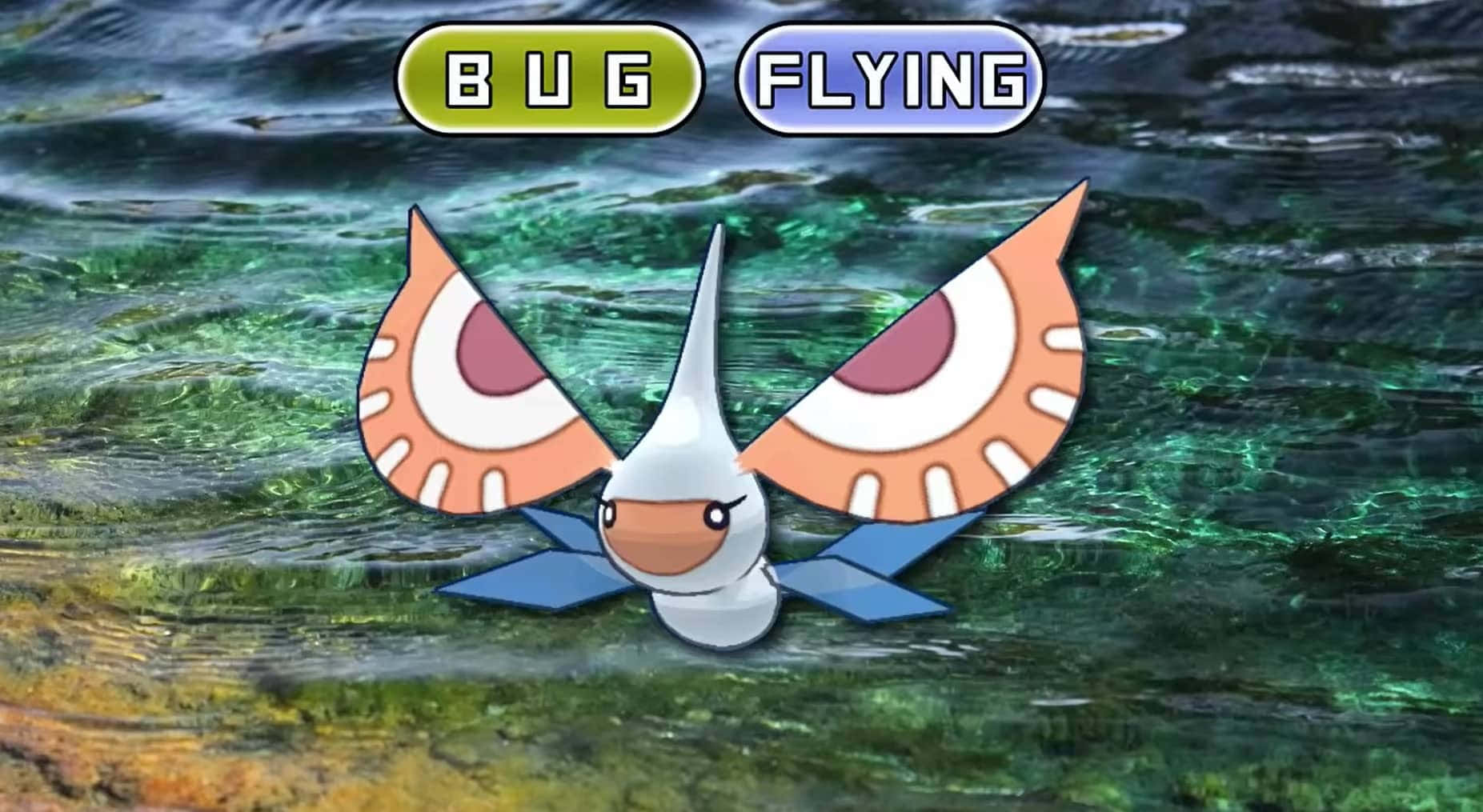 Masquerain, orange wings, blue fins, HD Desktop Wallpaper