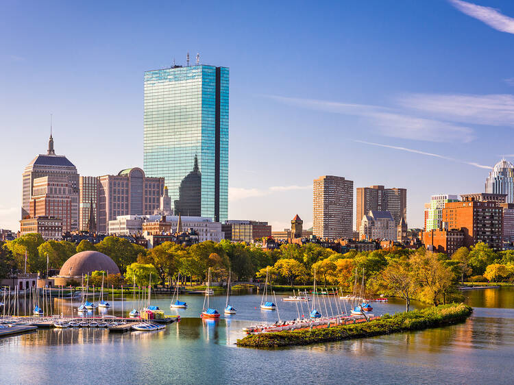 autumn trees, glass skyscrapers, sailboats, SD Desktop Wallpaper