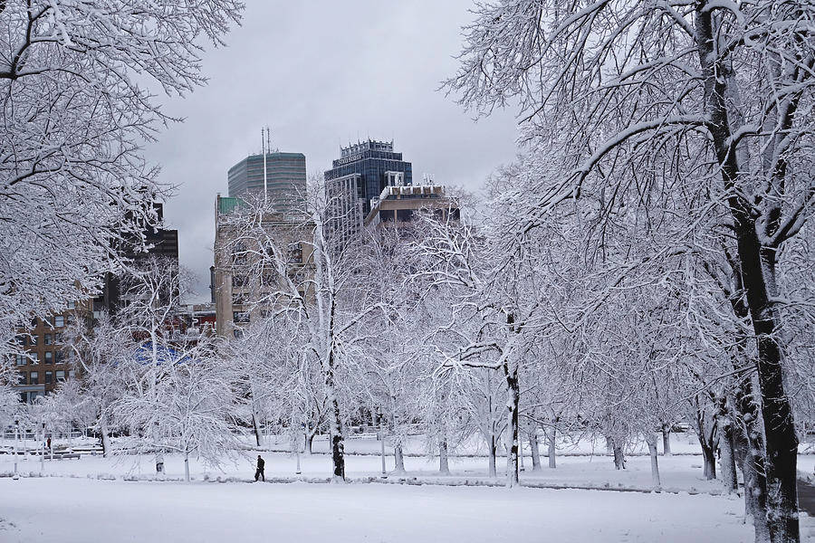 Massachusetts, winter, snow, SD Desktop Wallpaper