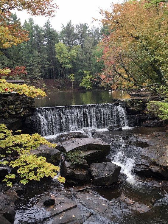 Massachusetts, autumn waterfall, mossy rocks, SD Phone Wallpaper