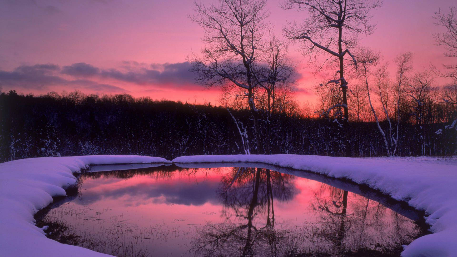 Massachusetts, frozen pond, fiery pink and purple winter sunset, Full HD Desktop Wallpaper