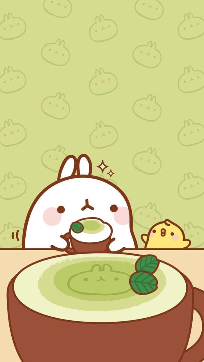 matcha 700 x 1244, matcha tea, white rabbit, SD Phone Wallpaper