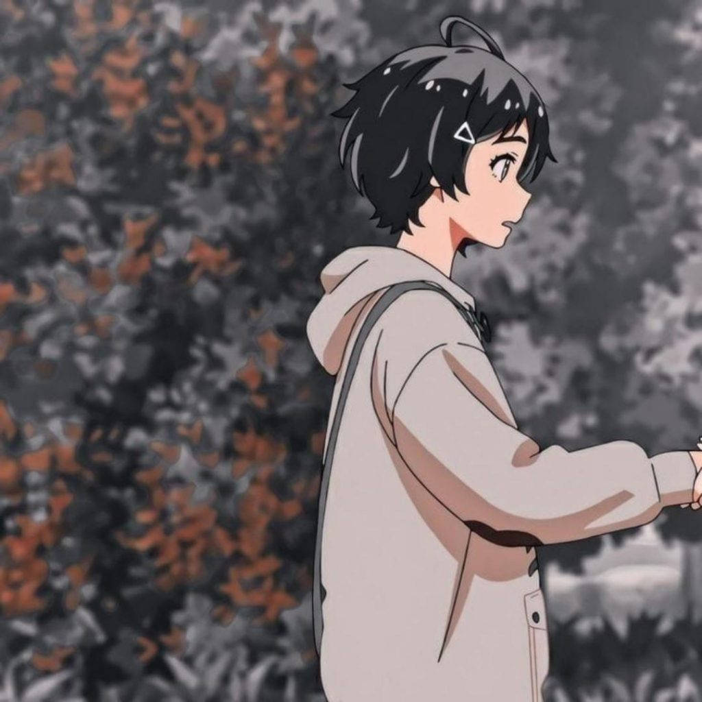 anime character, short black hair, beige hoodie, SD Desktop Wallpaper