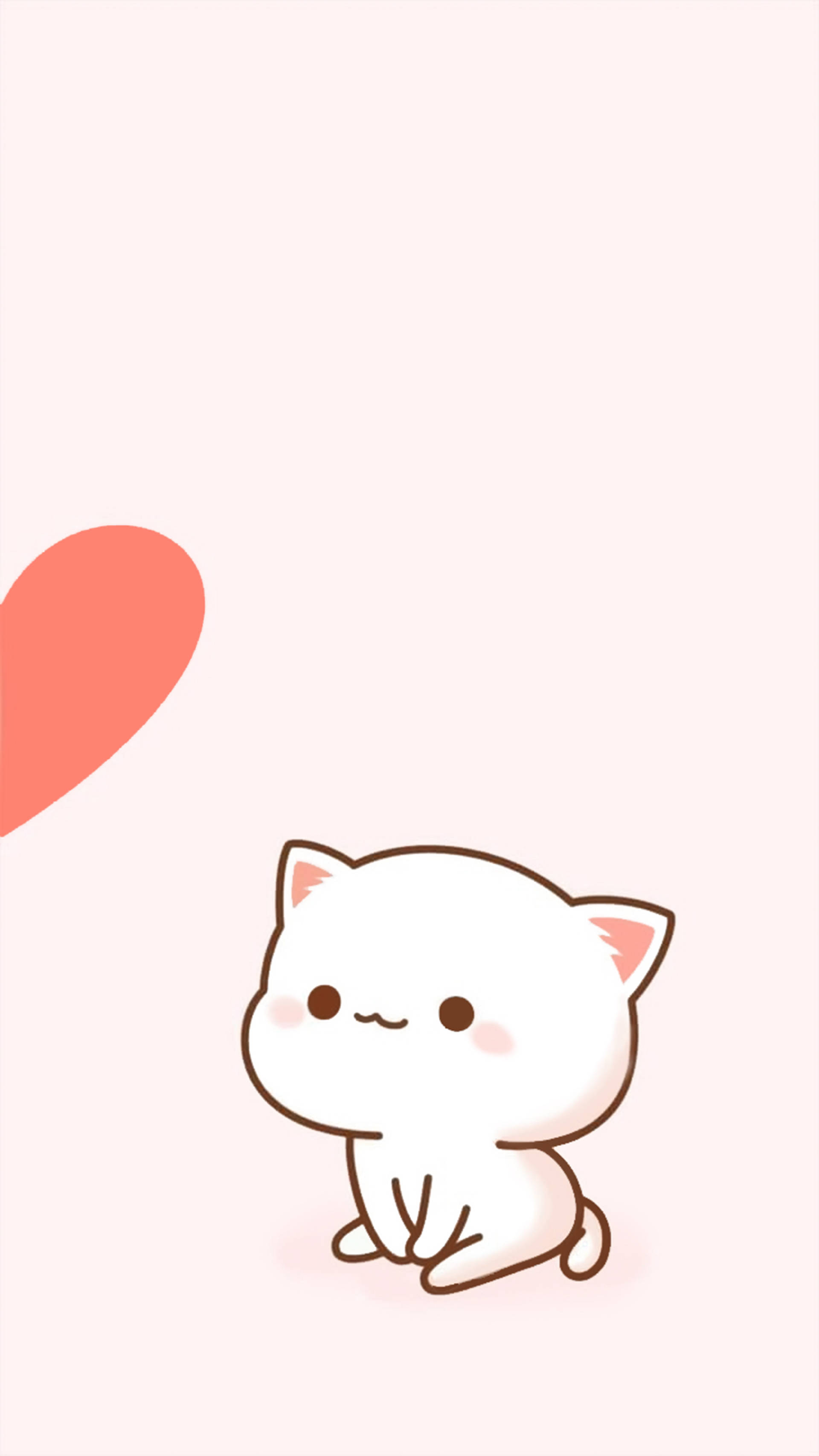 white cat, pink inner ears, pink background, 2K Phone Wallpaper