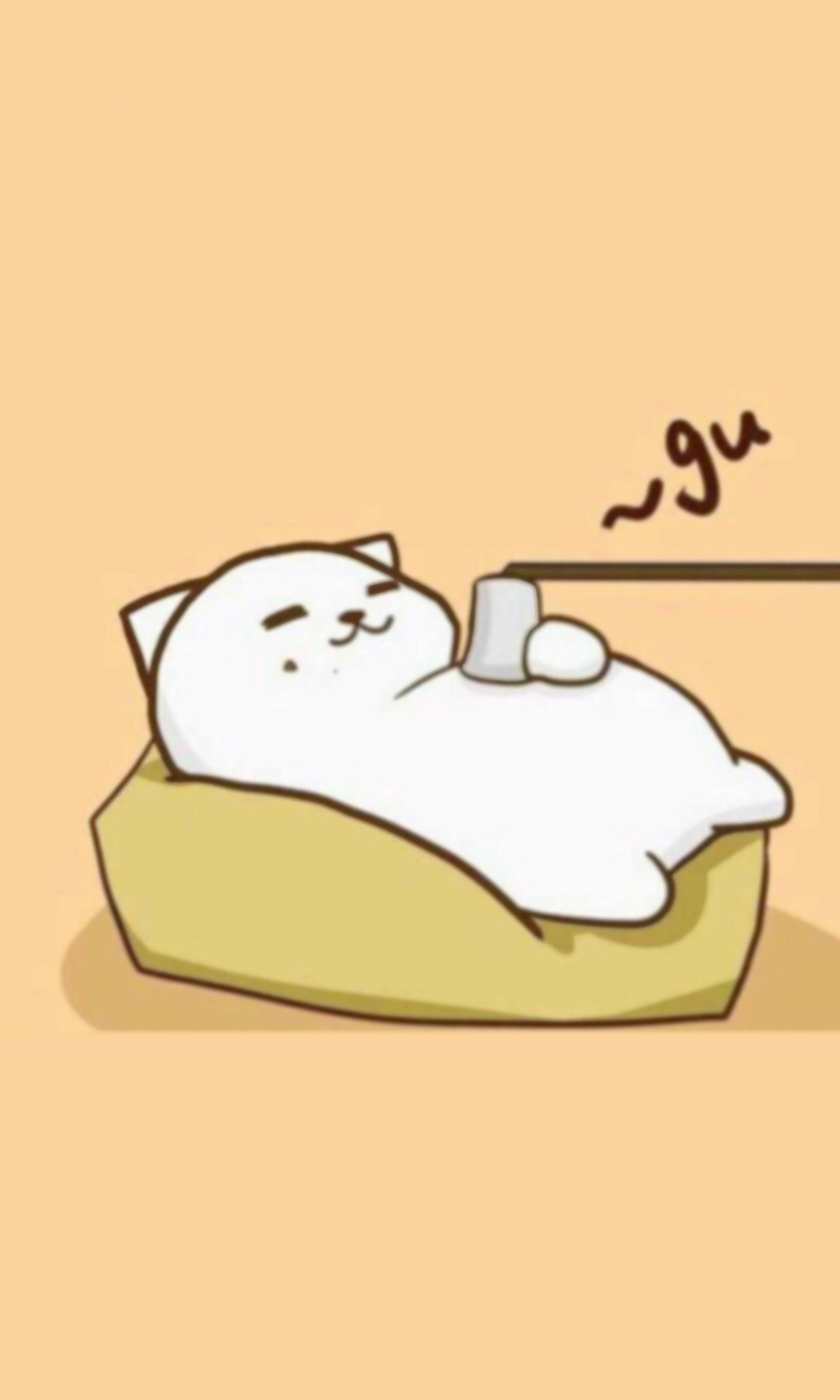 white cat, yellow pillow, z sound effect, 2K Phone Wallpaper