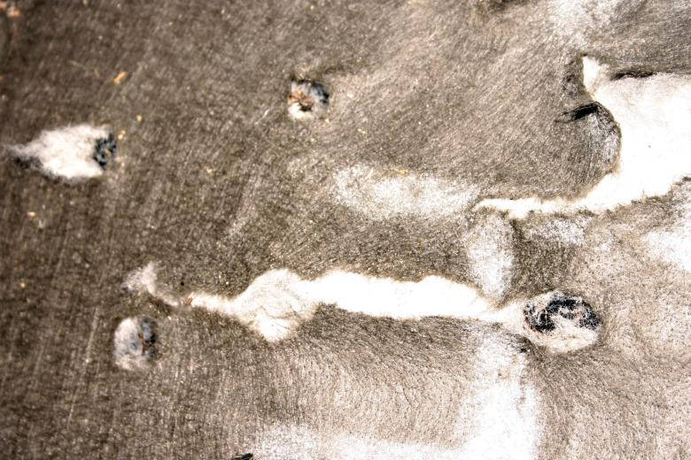 burned cloth, weathered gray fabric, frayed edges, SD Desktop Wallpaper