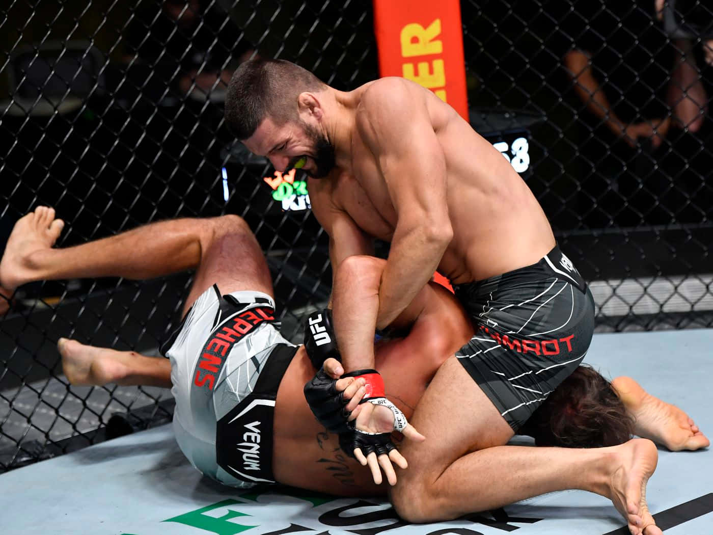 Mateusz Gamrot, MMA fighters, cage floor, HD Desktop Wallpaper