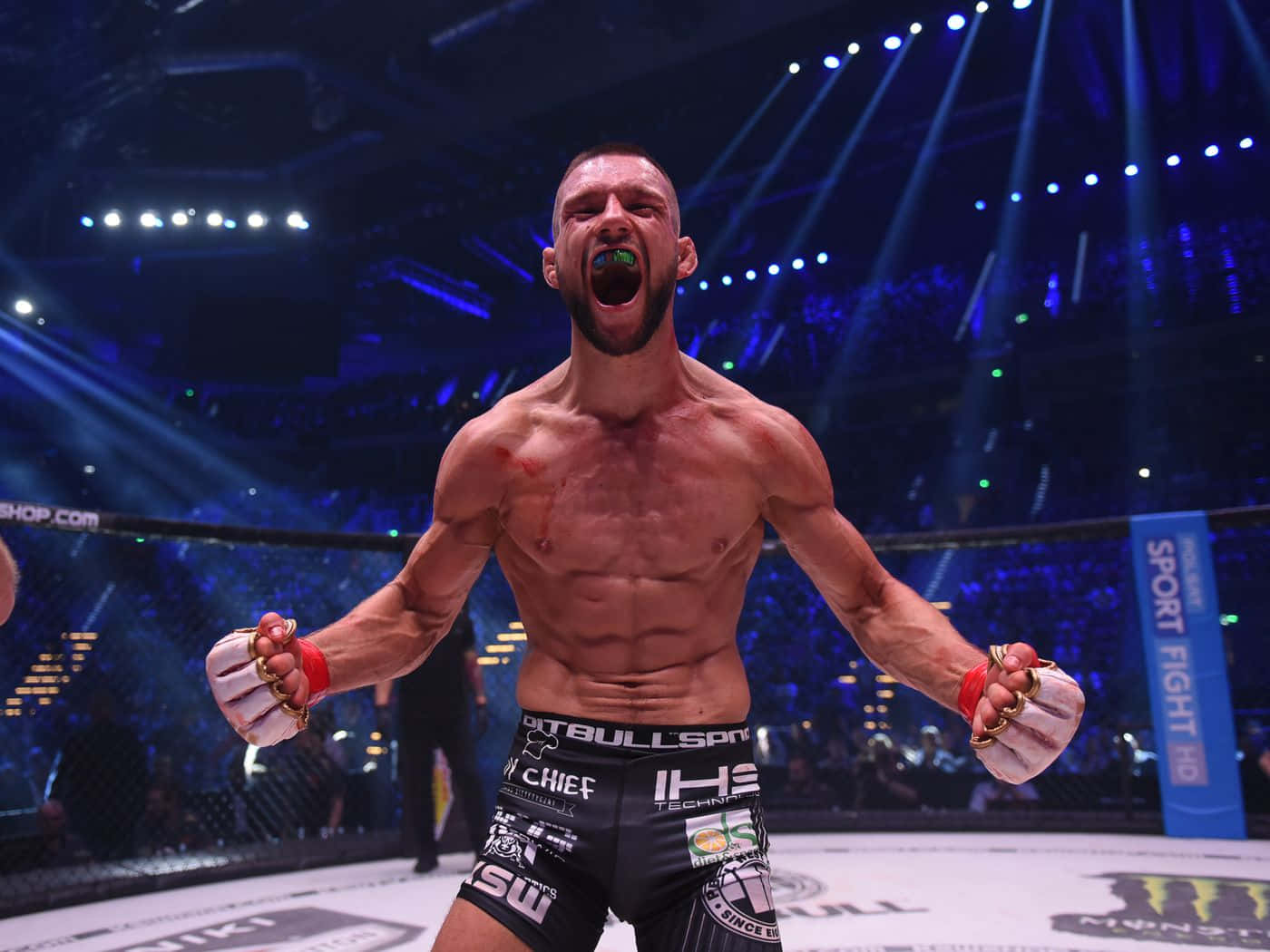Mateusz Gamrot, octagon, brightly lit, HD Desktop Wallpaper