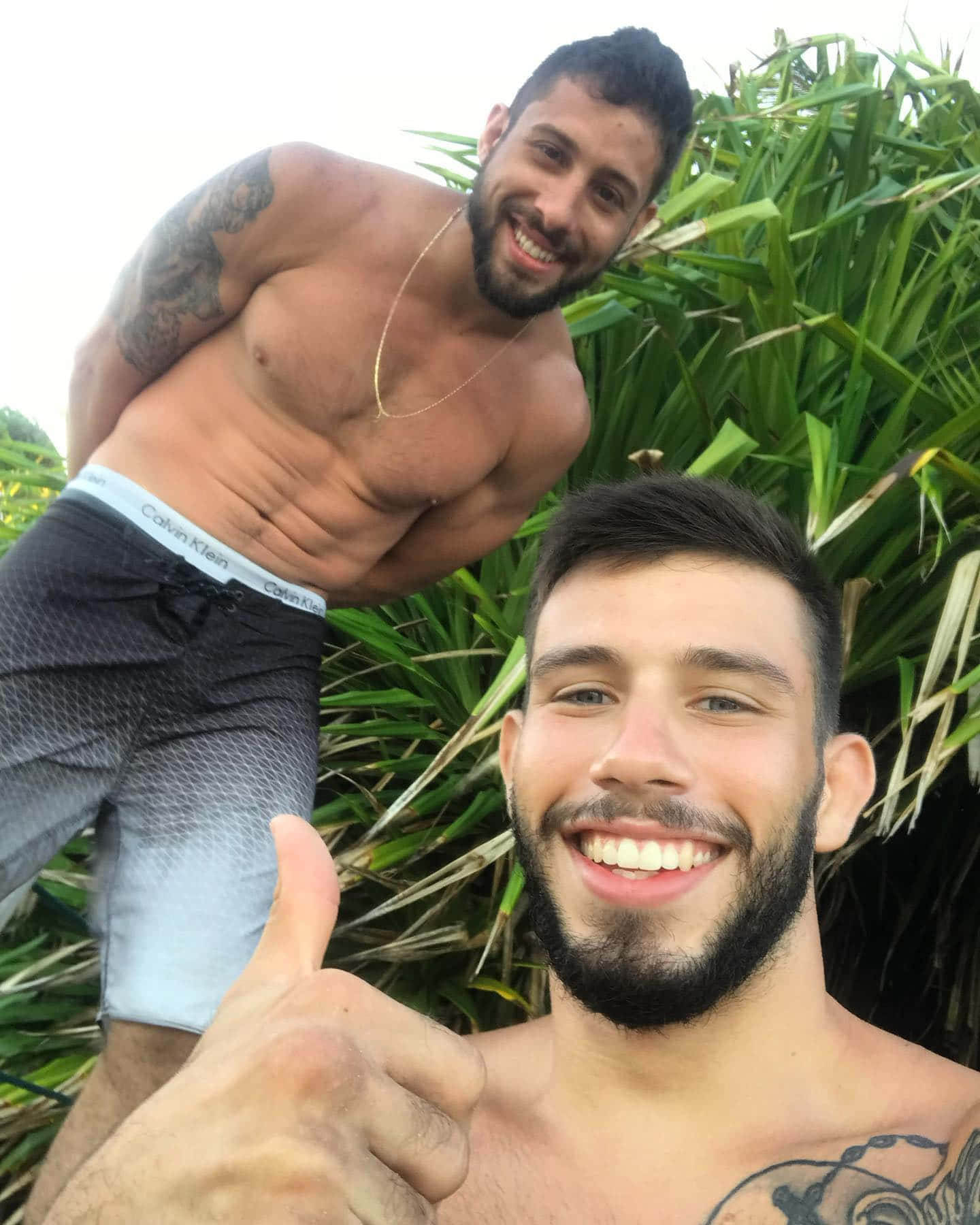 Matheus Nicolau, grassy background, lush green foliage, HD Phone Wallpaper