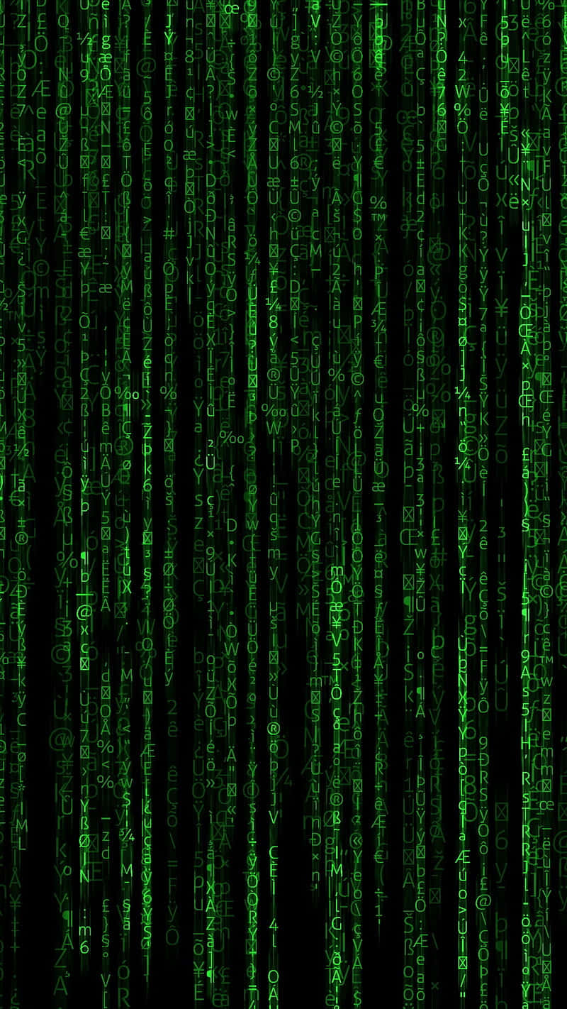 Matrix Code, green digital code, black background, HD Phone Wallpaper