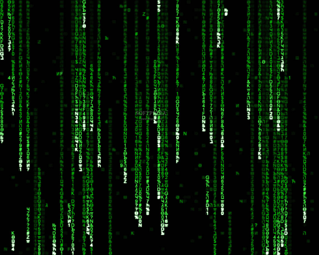 neon green, white rabbit, Matrix, SD Desktop Wallpaper