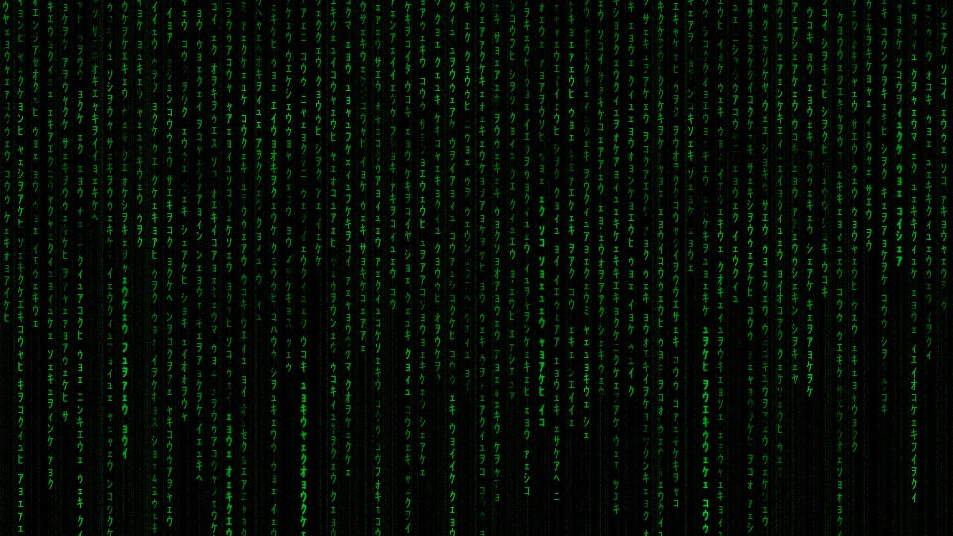 vertical neon green matrix, Matrix-style visual, green digital code, Full HD Desktop Wallpaper
