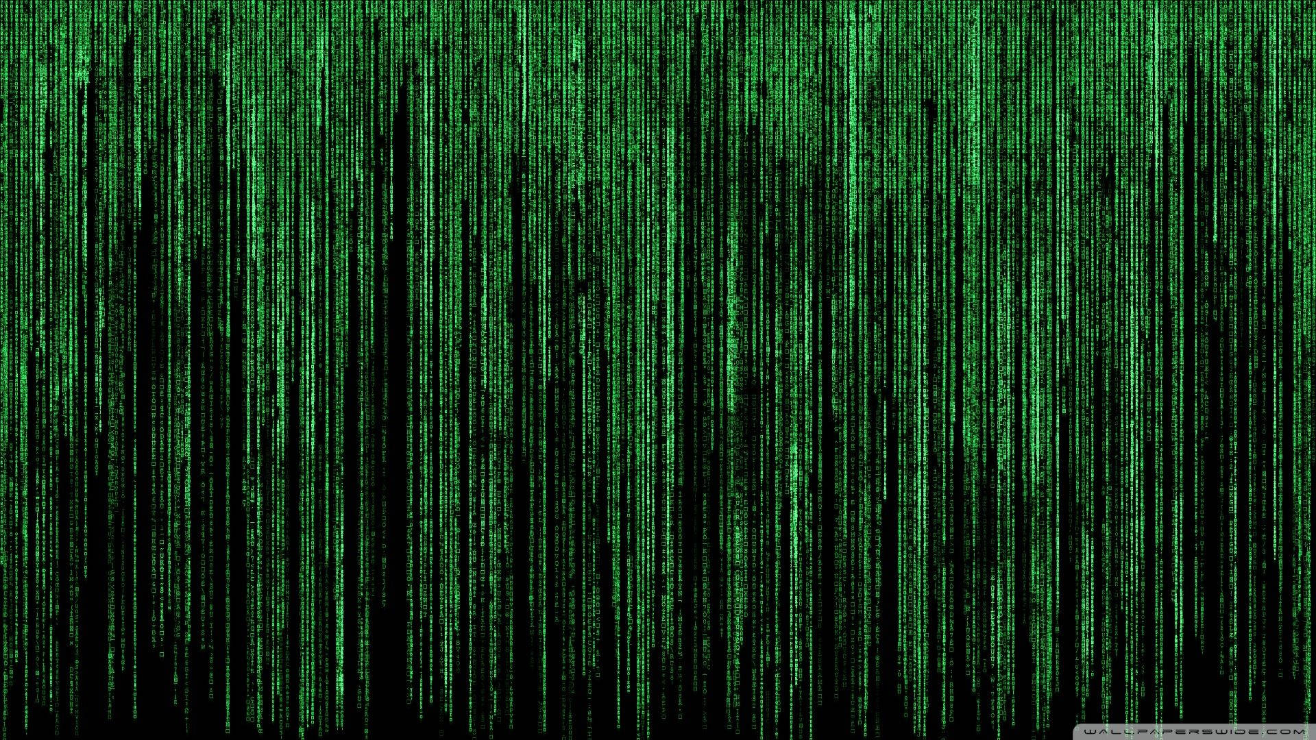 neon green, digital code streams, black background, Full HD Desktop Wallpaper