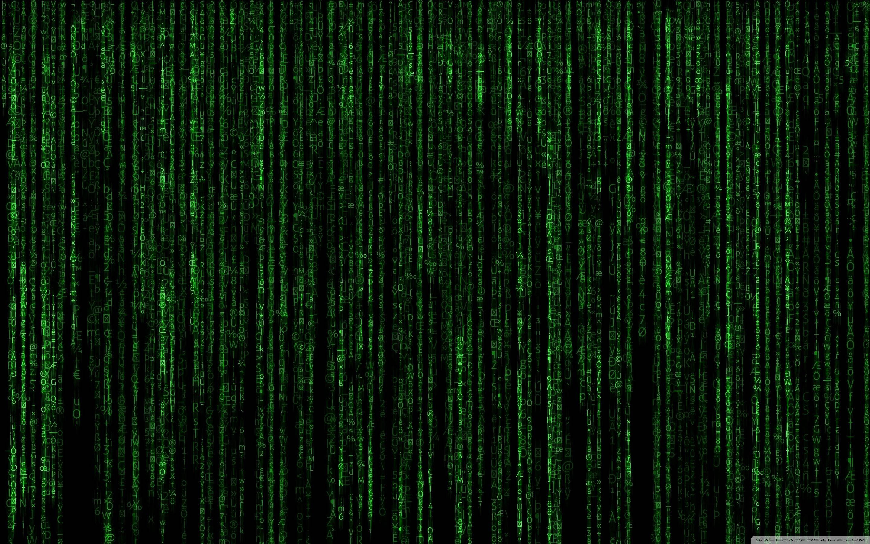 neon green matrix, digital code streams, black background, 2K Desktop Wallpaper