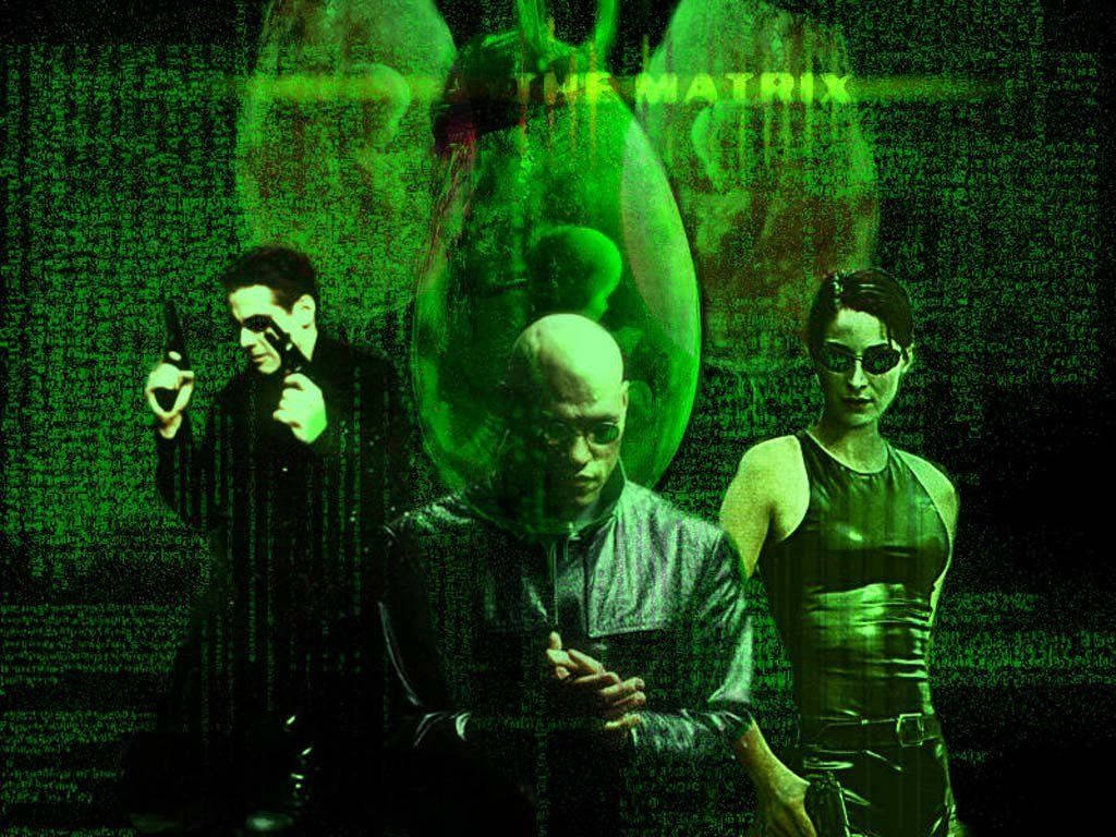 The Matrix, neon green, cyberpunk characters, SD Desktop Wallpaper