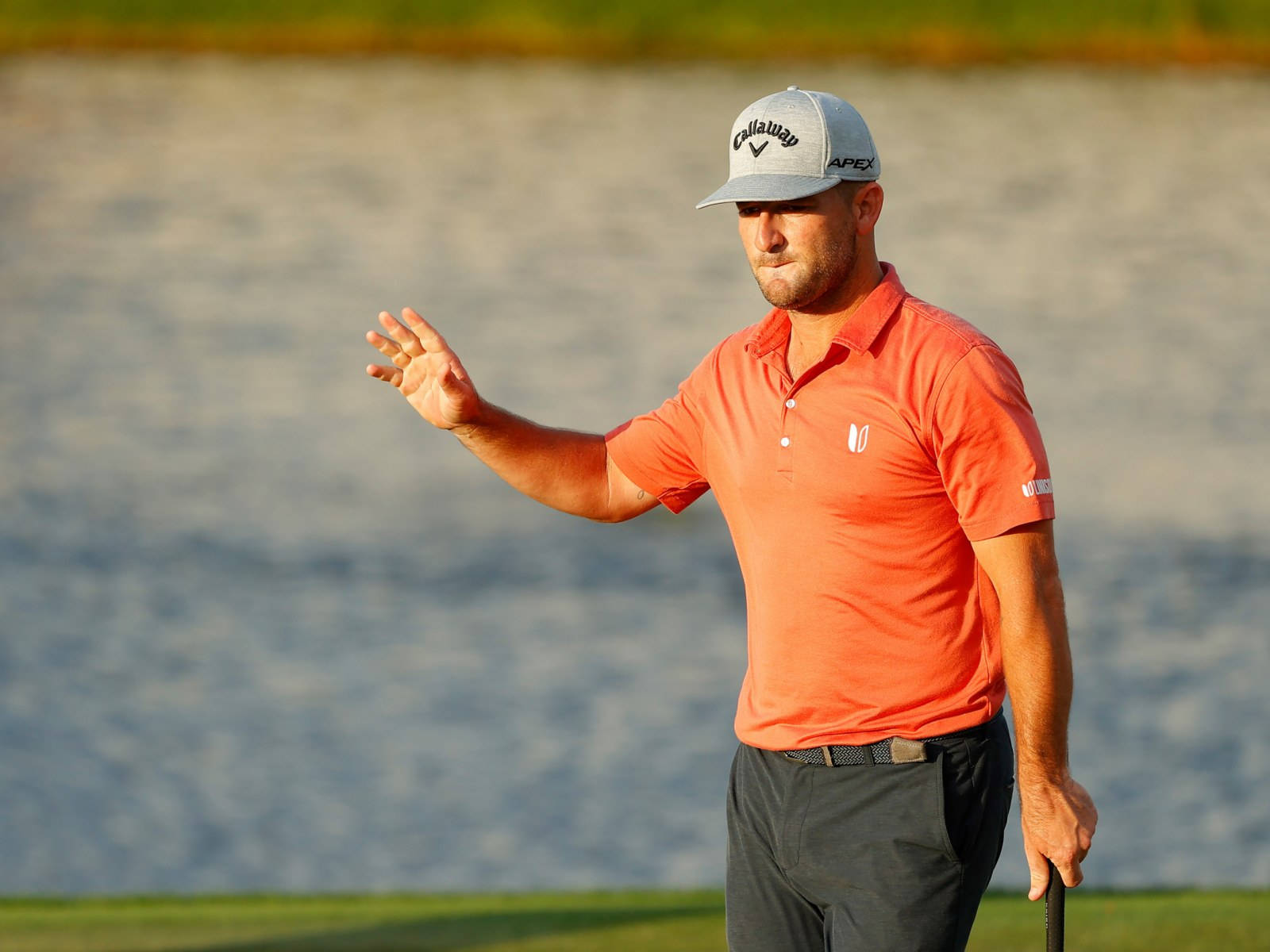 Matt Every, orange polo, grey cap, HD Desktop Wallpaper