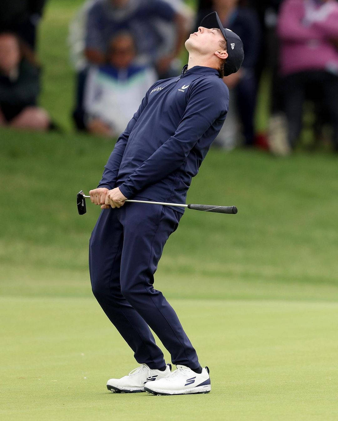 Matt Fitzpatrick, navy attire, green golf course, HD Phone Wallpaper