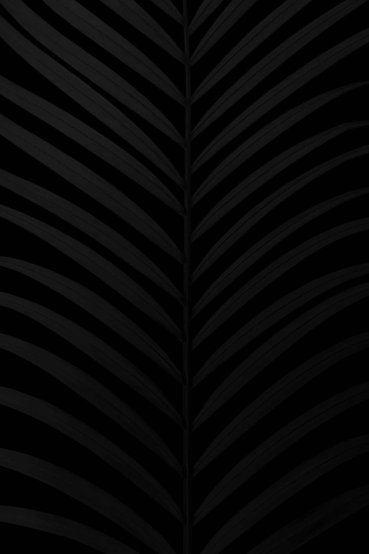 matte black texture, palm leaf silhouette, fine parallel veins, Full HD Phone Wallpaper