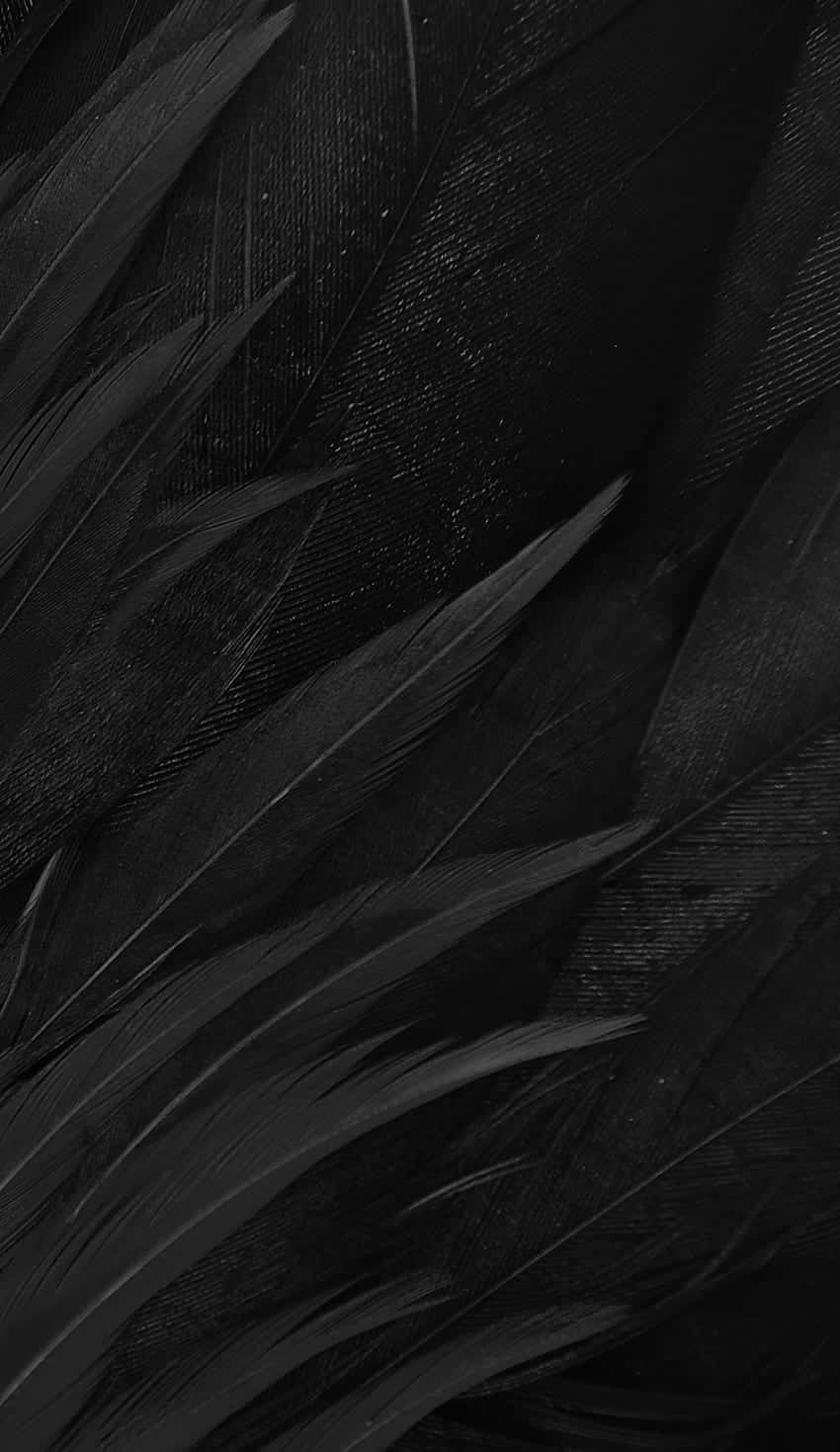 Matte Black Texture Background, dark feathers, subtle texture, HD Phone Wallpaper