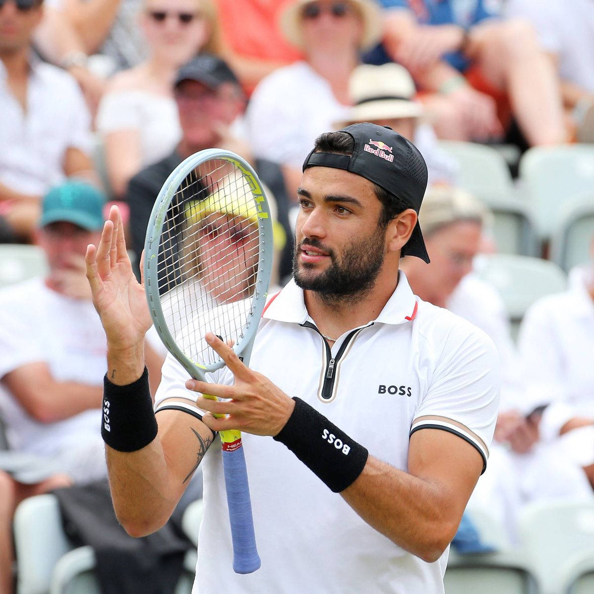 Matteo Berrettini, white BOSS shirt, black cap, SD Desktop Wallpaper