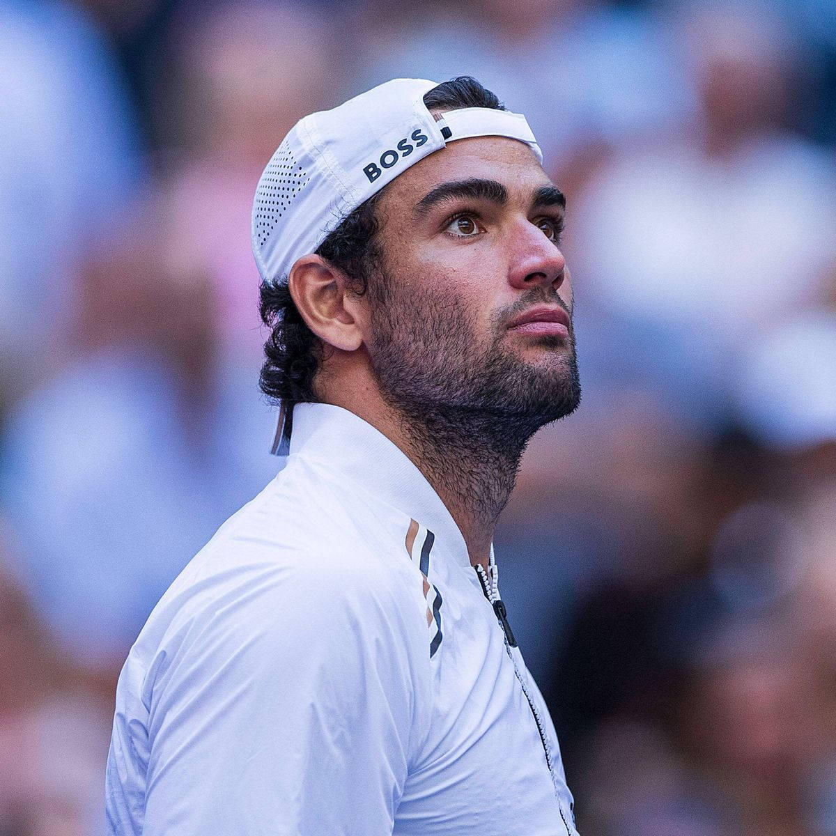 Matteo Berrettini, white BOSS cap, white shirt, SD Desktop Wallpaper