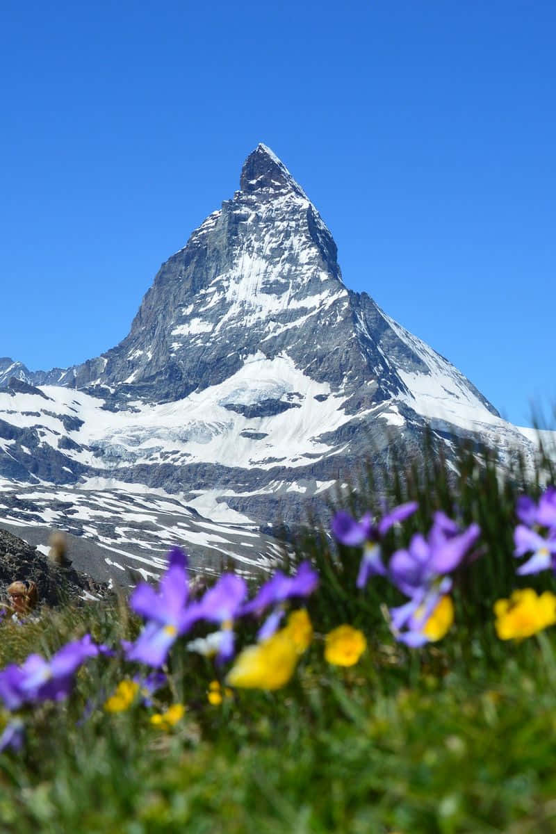 Matterhorn Mountain, snow-capped mountain peak, clear blue sky, SD Phone Wallpaper
