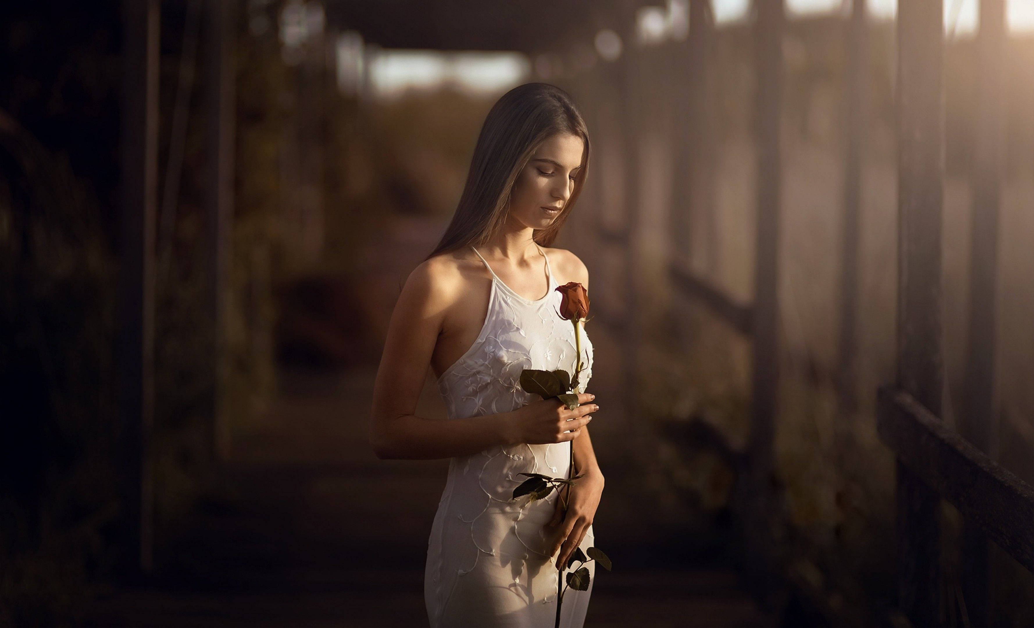 mature woman, white dress, red rose, 2K Desktop Wallpaper