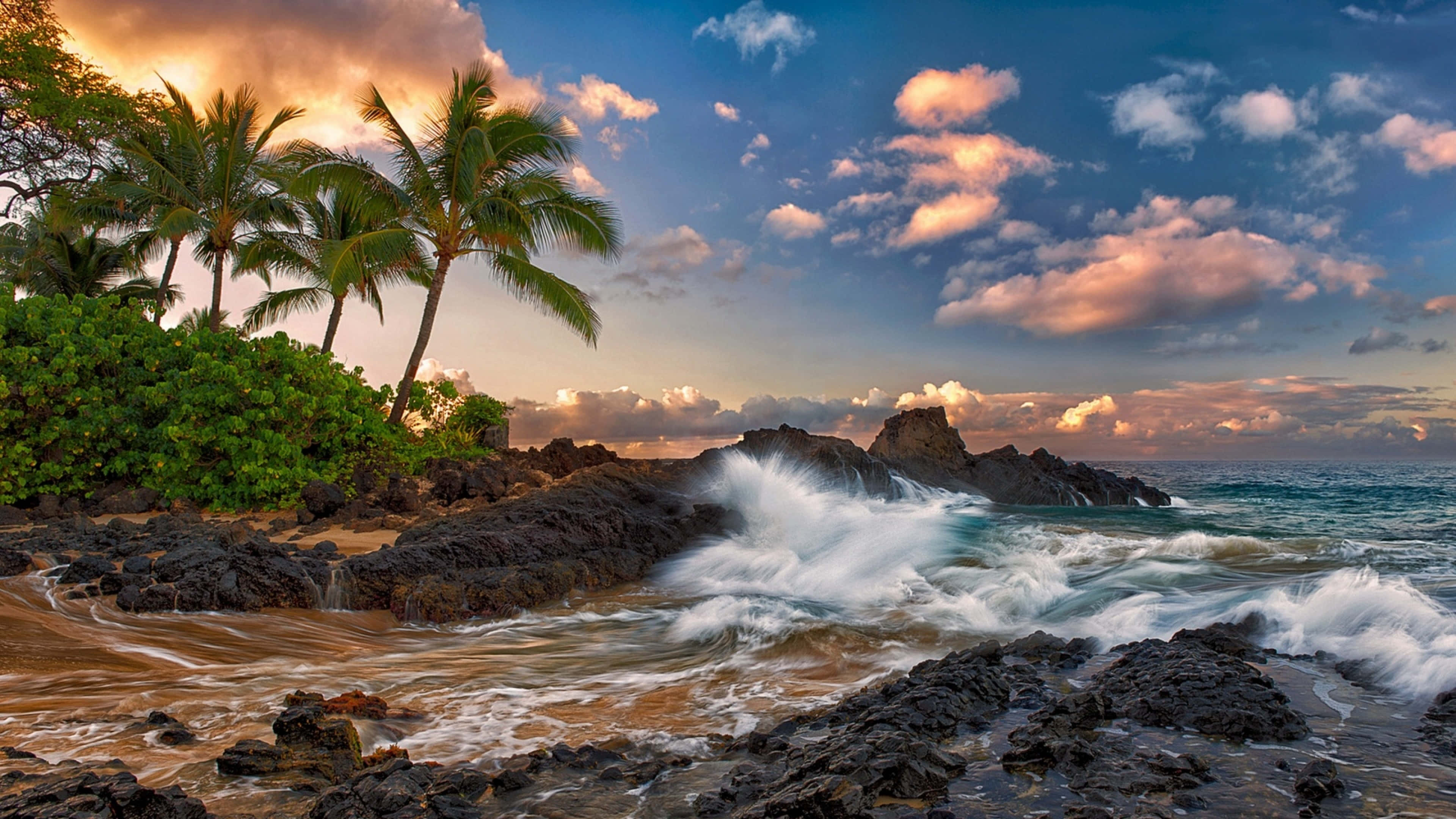 Sunset, volcanic rocks, palm trees, 4K Desktop Wallpaper