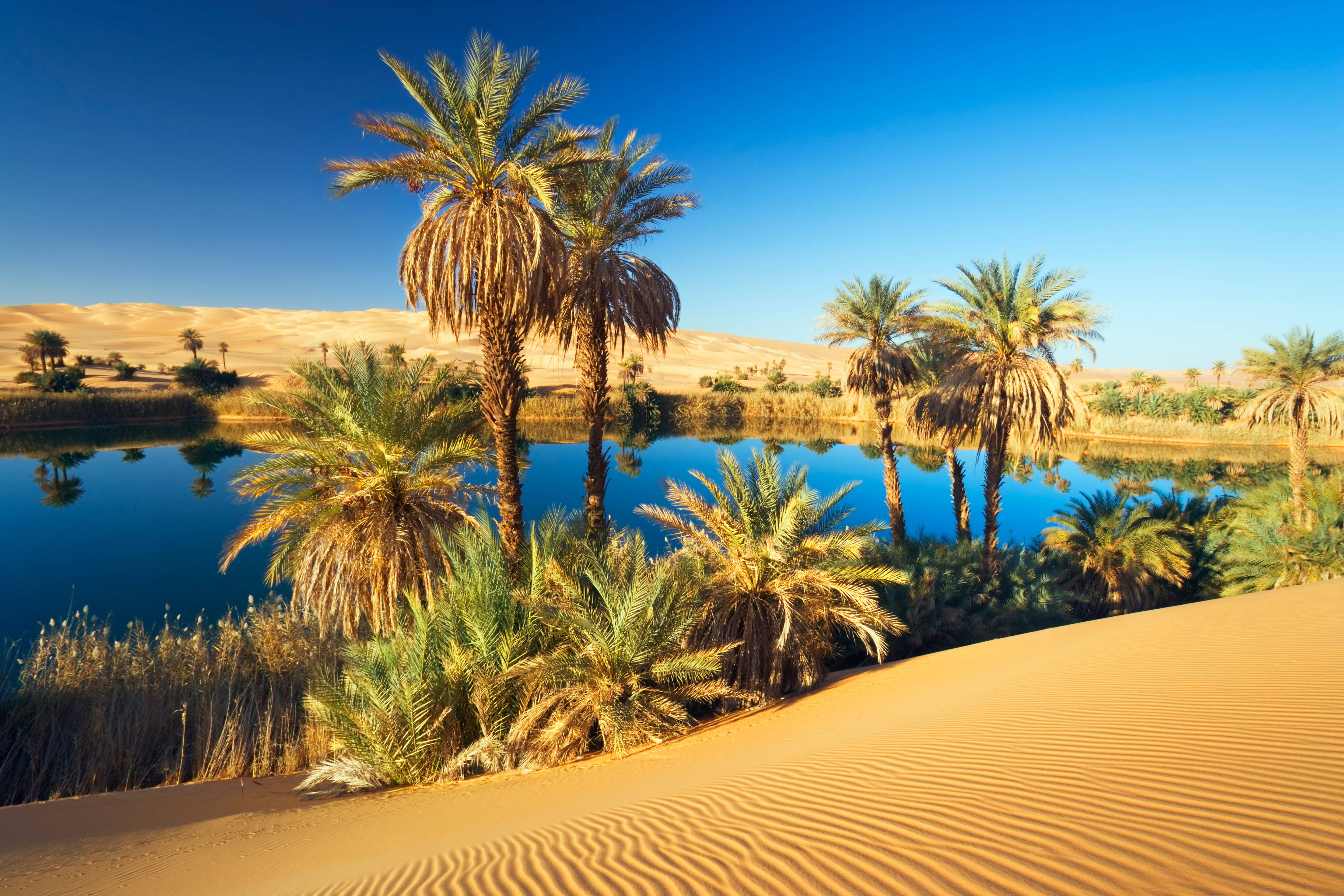 Mauritania, oasis, golden dunes, 4K Desktop Wallpaper