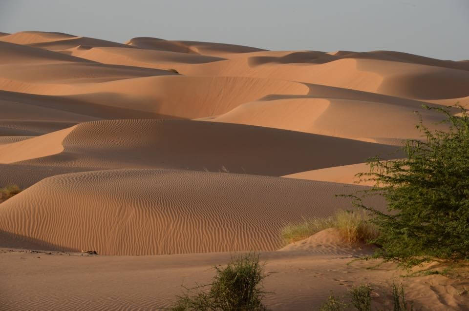 Mauritania, desert landscape, golden sand dunes, SD Desktop Wallpaper