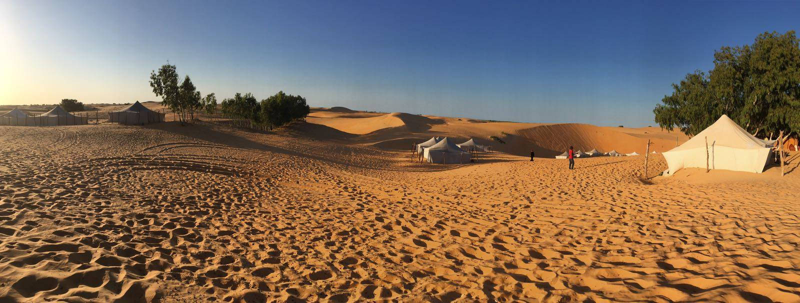 Mauritania, desert, golden desert dunes, HD Desktop Wallpaper