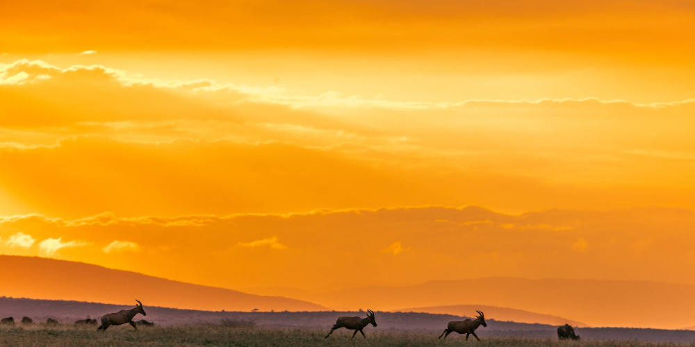 Mauritania, orange sky, golden savanna, SD Desktop Wallpaper