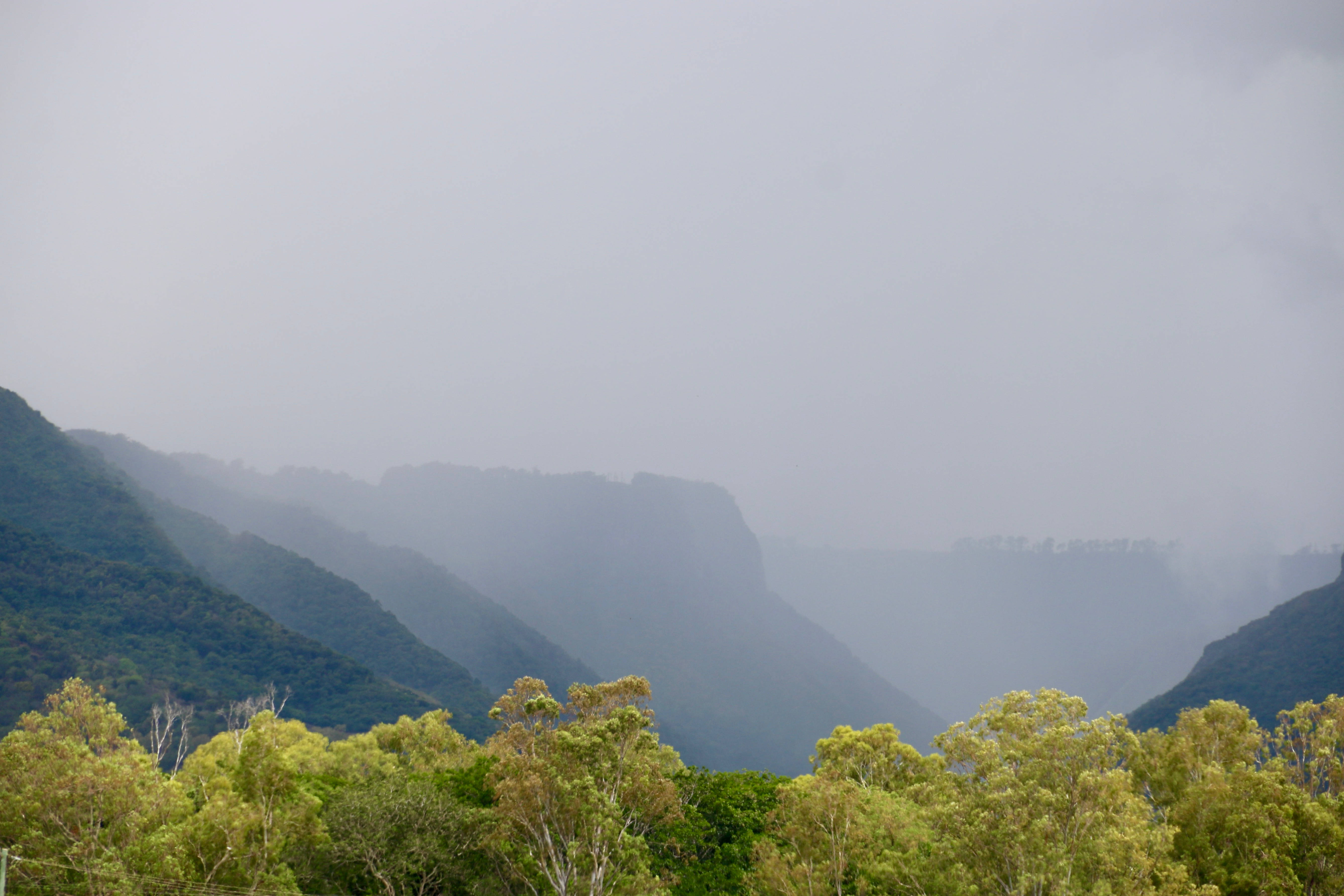 Mauritius, mountain, trees, 5K Desktop Wallpaper