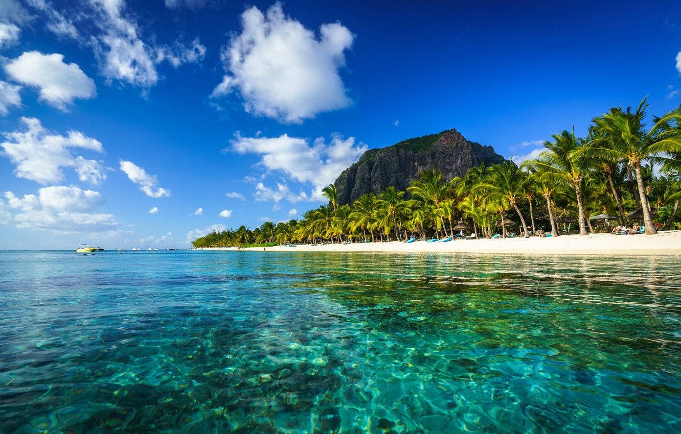 Mauritius, turquoise water, white sandy beach, HD Desktop Wallpaper
