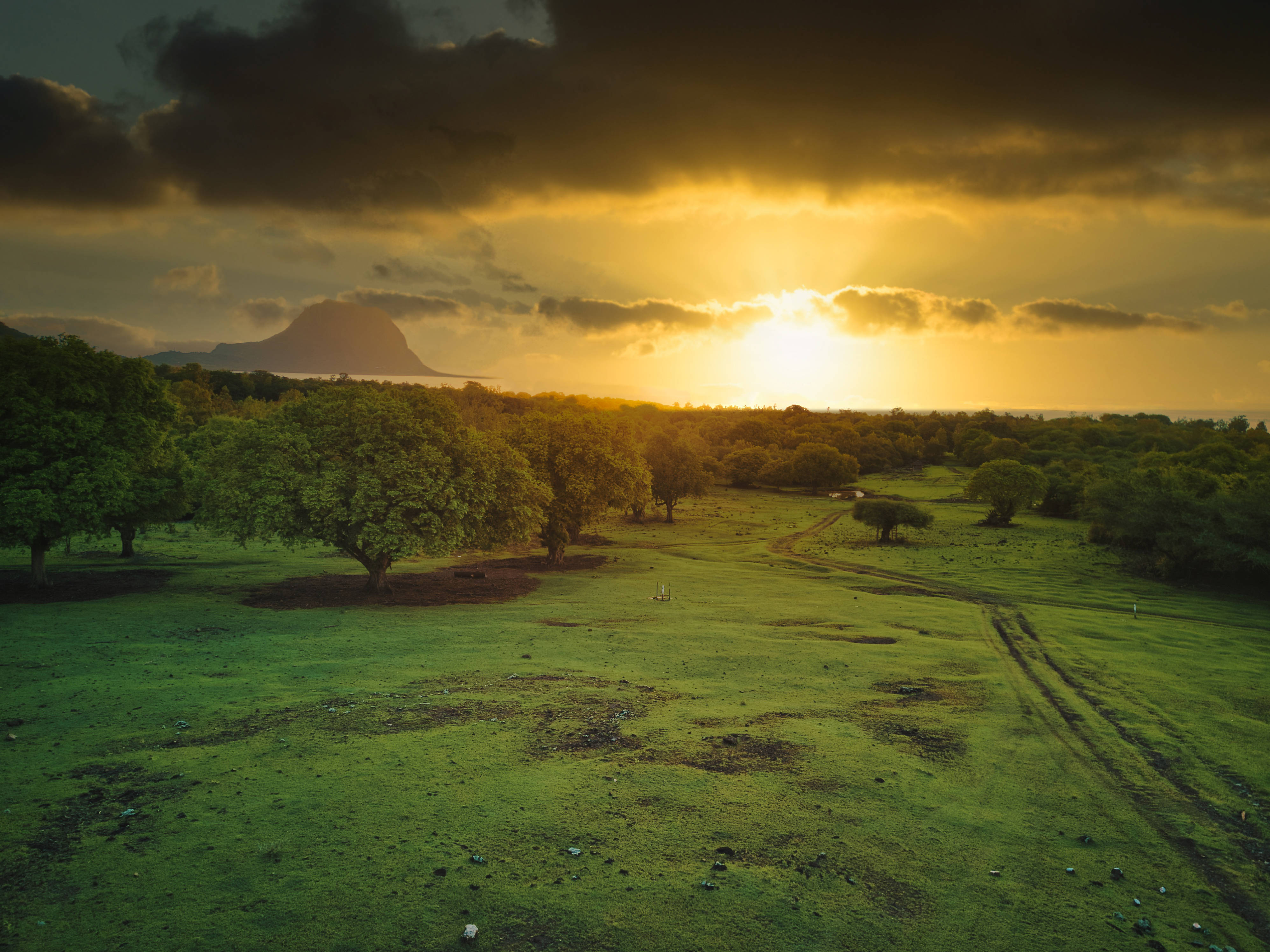 Mauritius, grassland, sunset, 4K Desktop Wallpaper