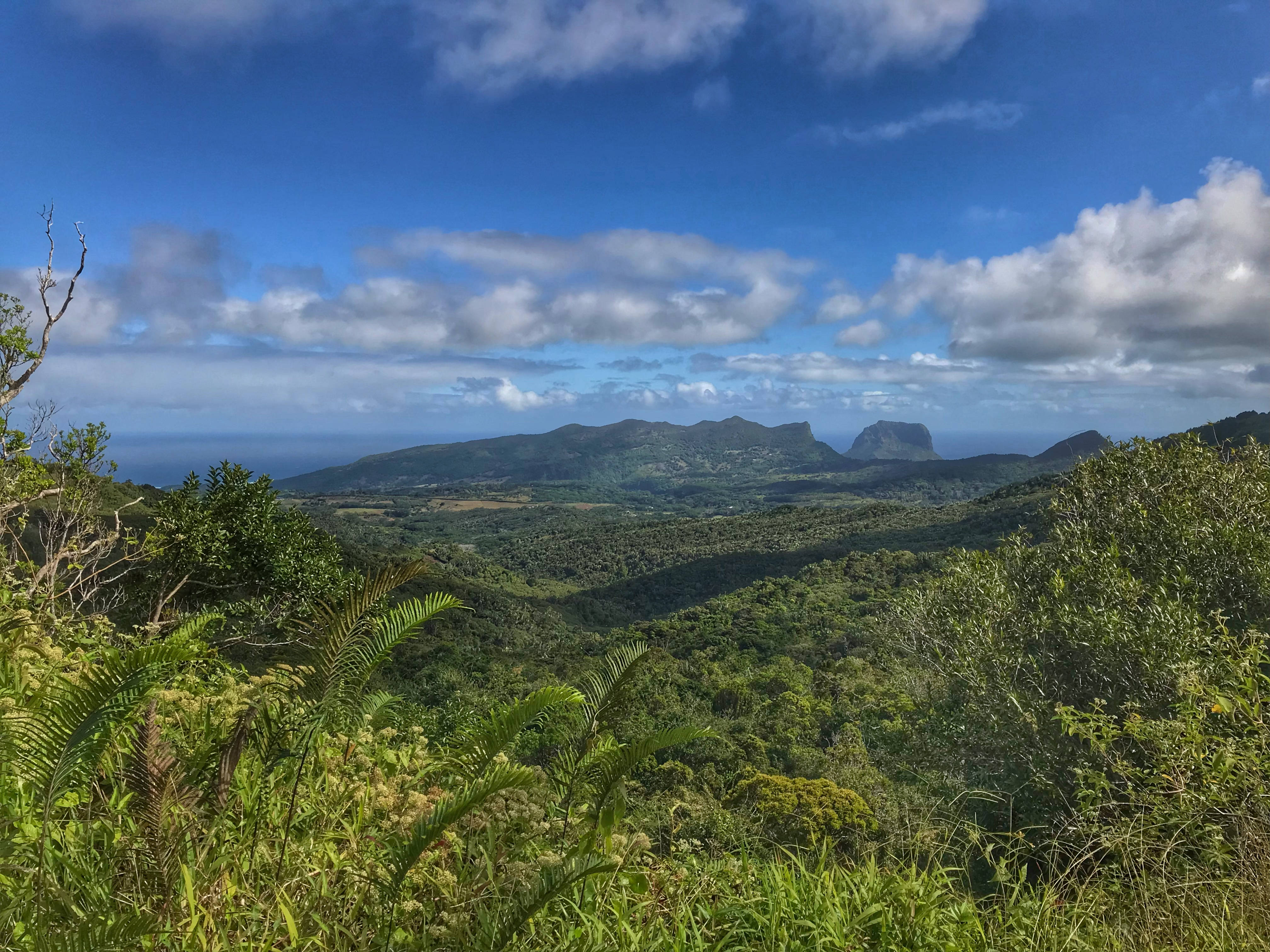 Mauritius, island, forest, 4K Desktop Wallpaper