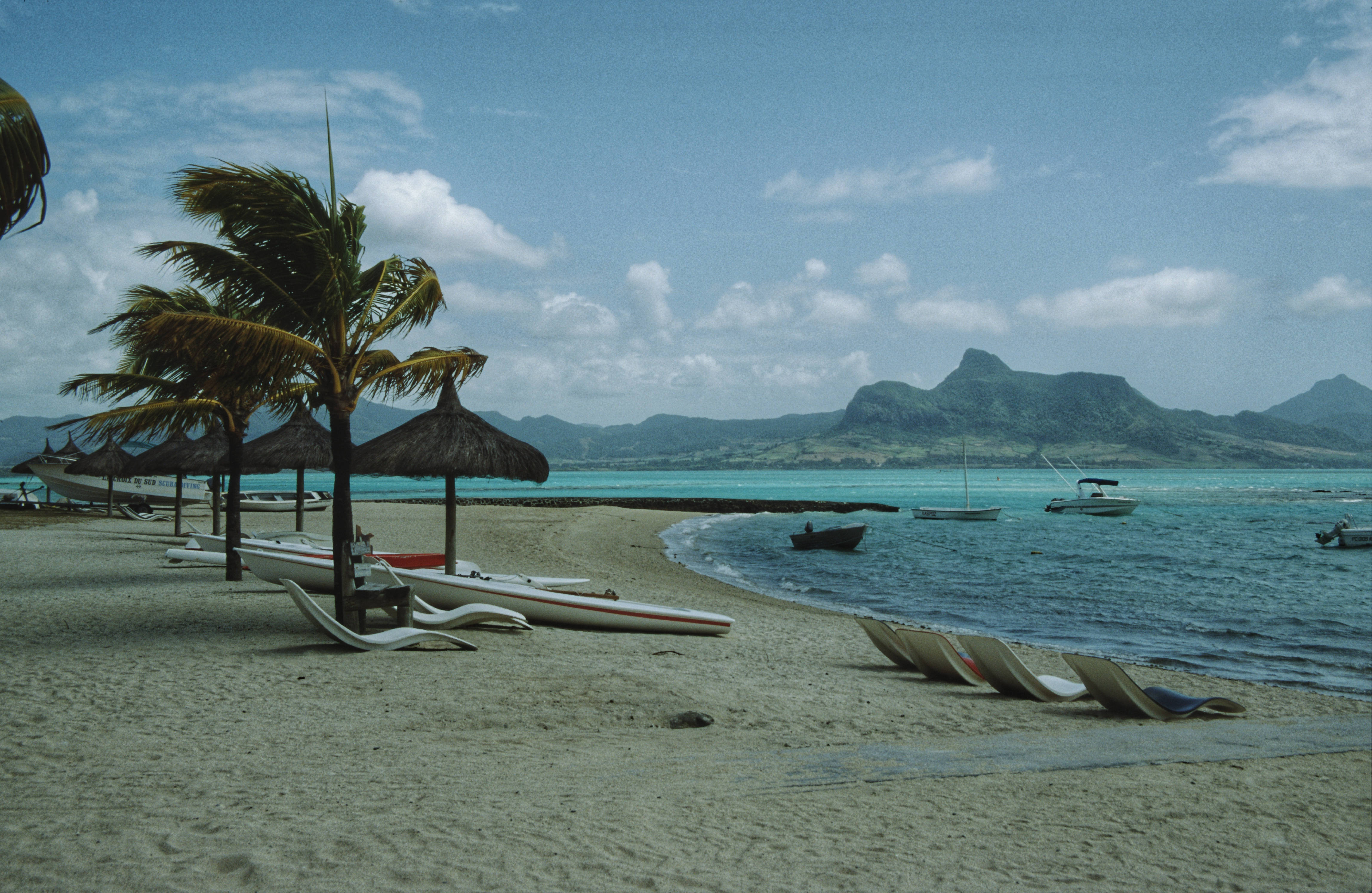 Mauritius, beach, palm trees, 4K Desktop Wallpaper